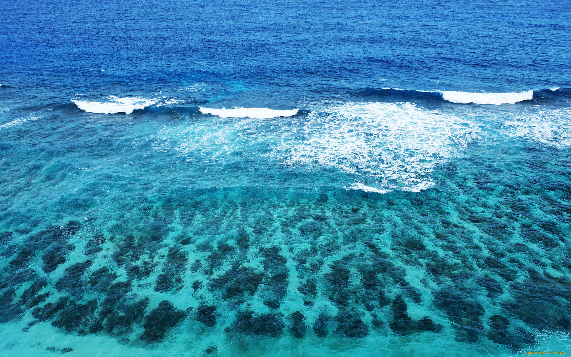 Красота моря фото 2 класс окружающий мир