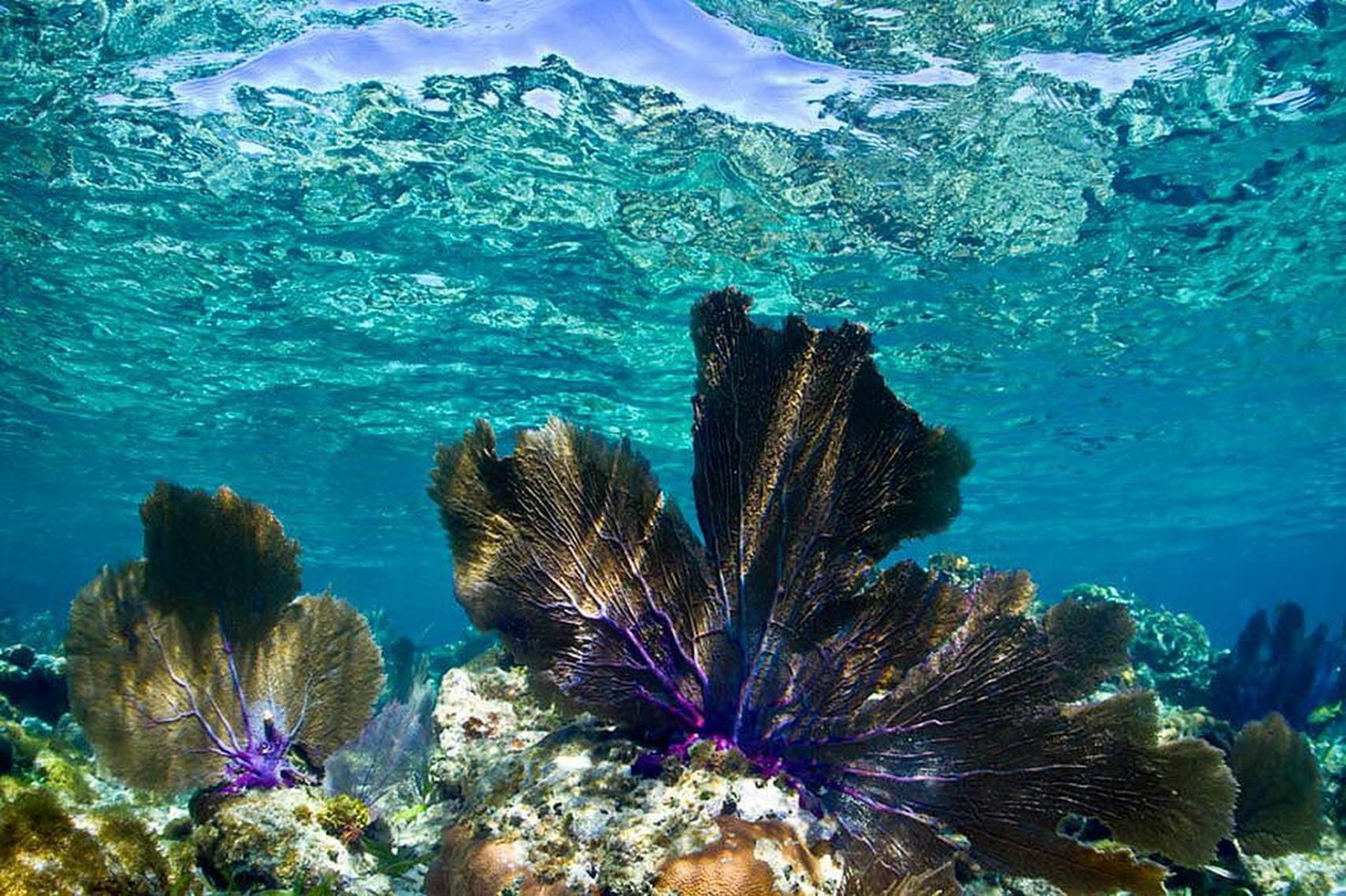 Класс красота. Острова Кайос-Кочинос. Красота моря. Удивительная красота воды. Прозрачная вода.
