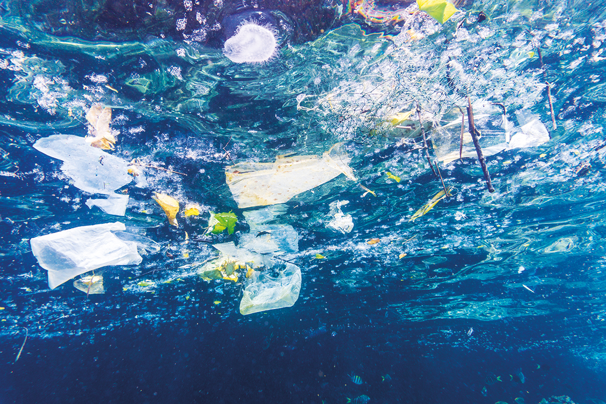 Пластиковые пакеты загрязнение в океане