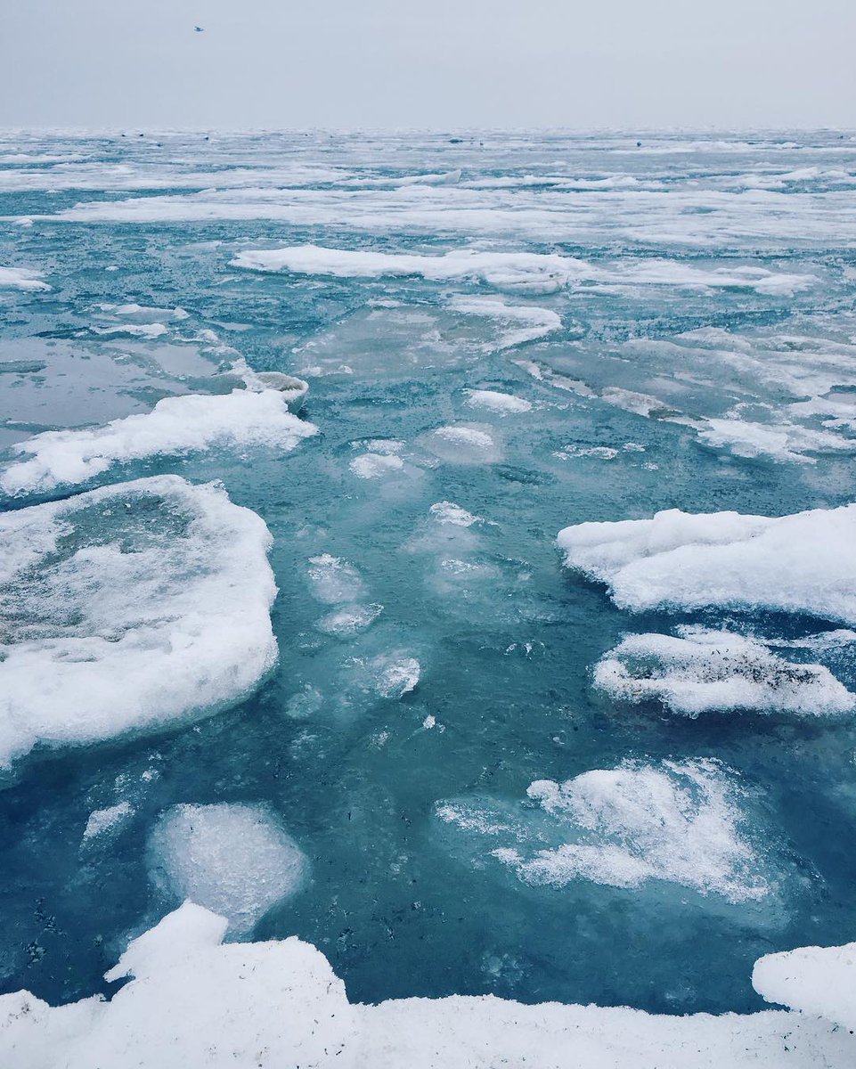 Замерзшее море в Одессе