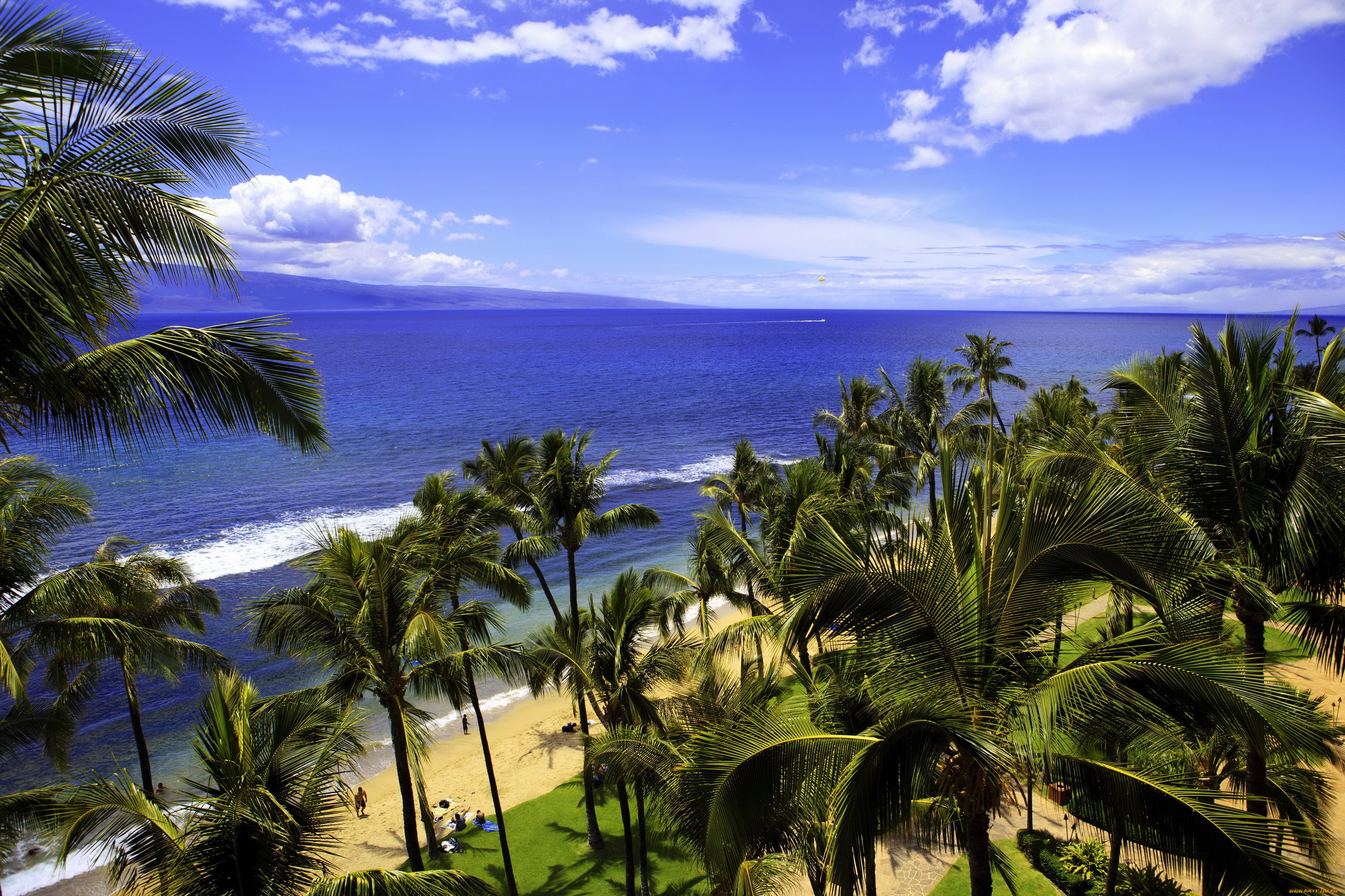 Гавайи море (66 фото) .