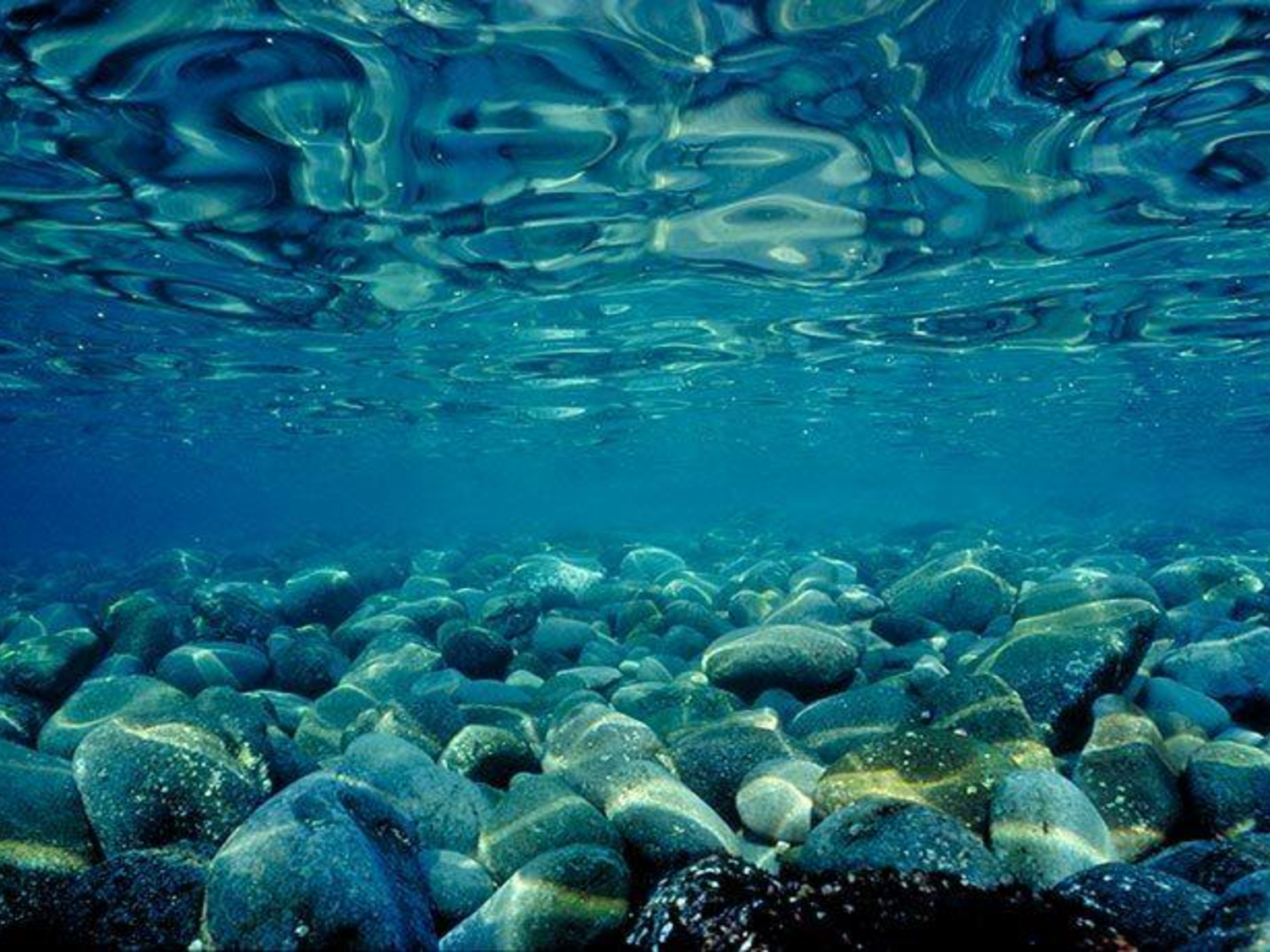 Прозрачное море под водой