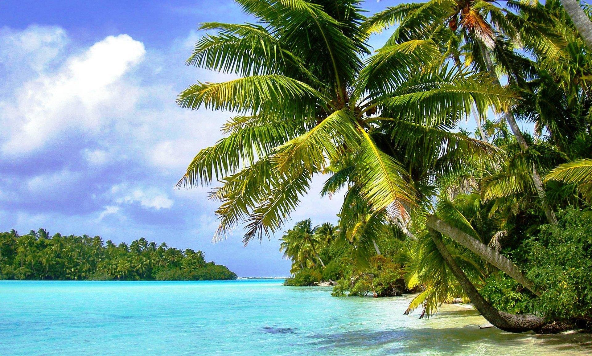 Море экзотика. Тропикал Айленд. Пальмы и океан. Остров Саона голубая Лагуна. Голубая Лагуна Саона Доминикана.