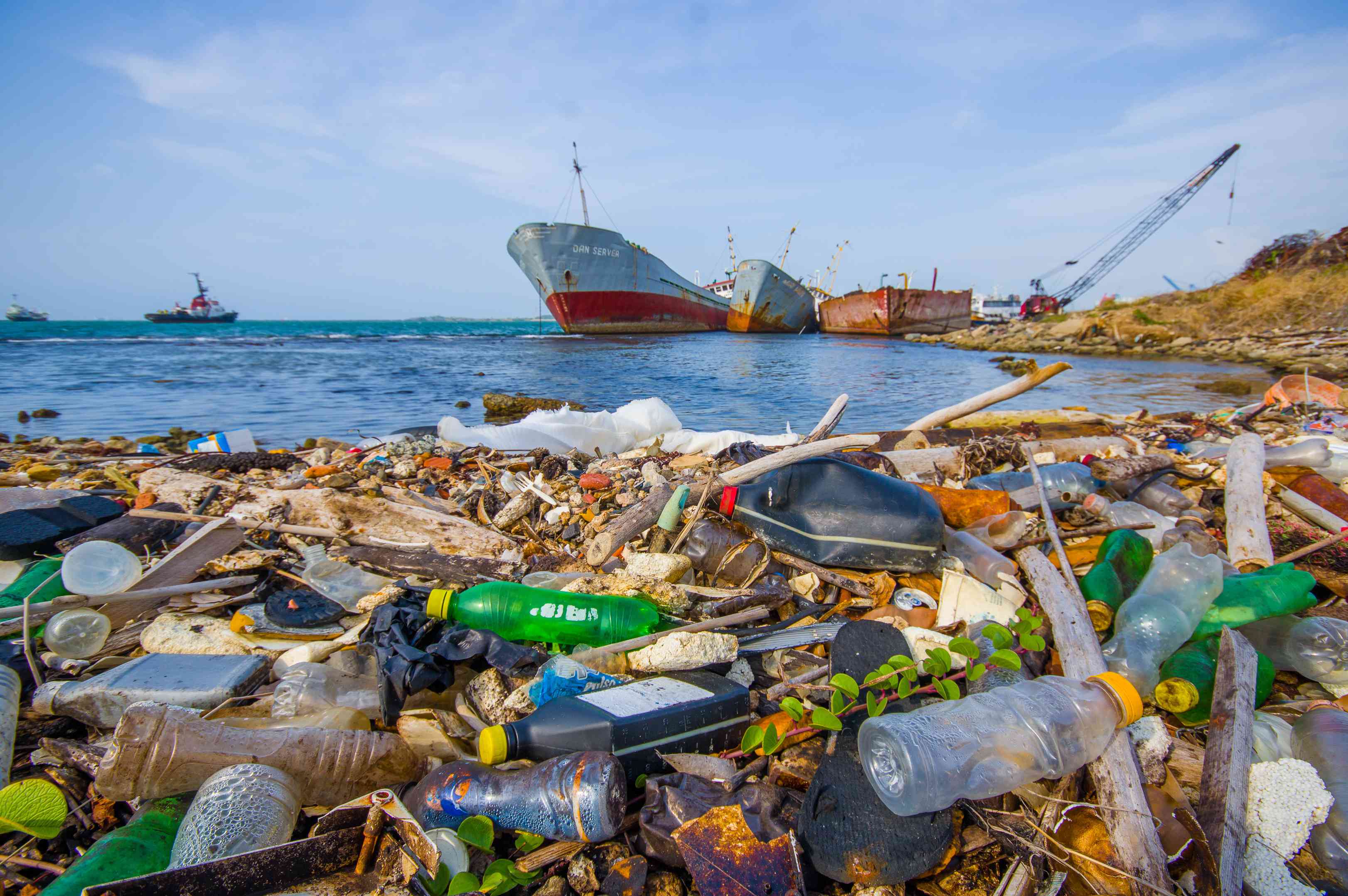Глобальная проблема отходы. Загрязнение мирового океана. Экология морей и океанов. Загрязнение морей и океанов.