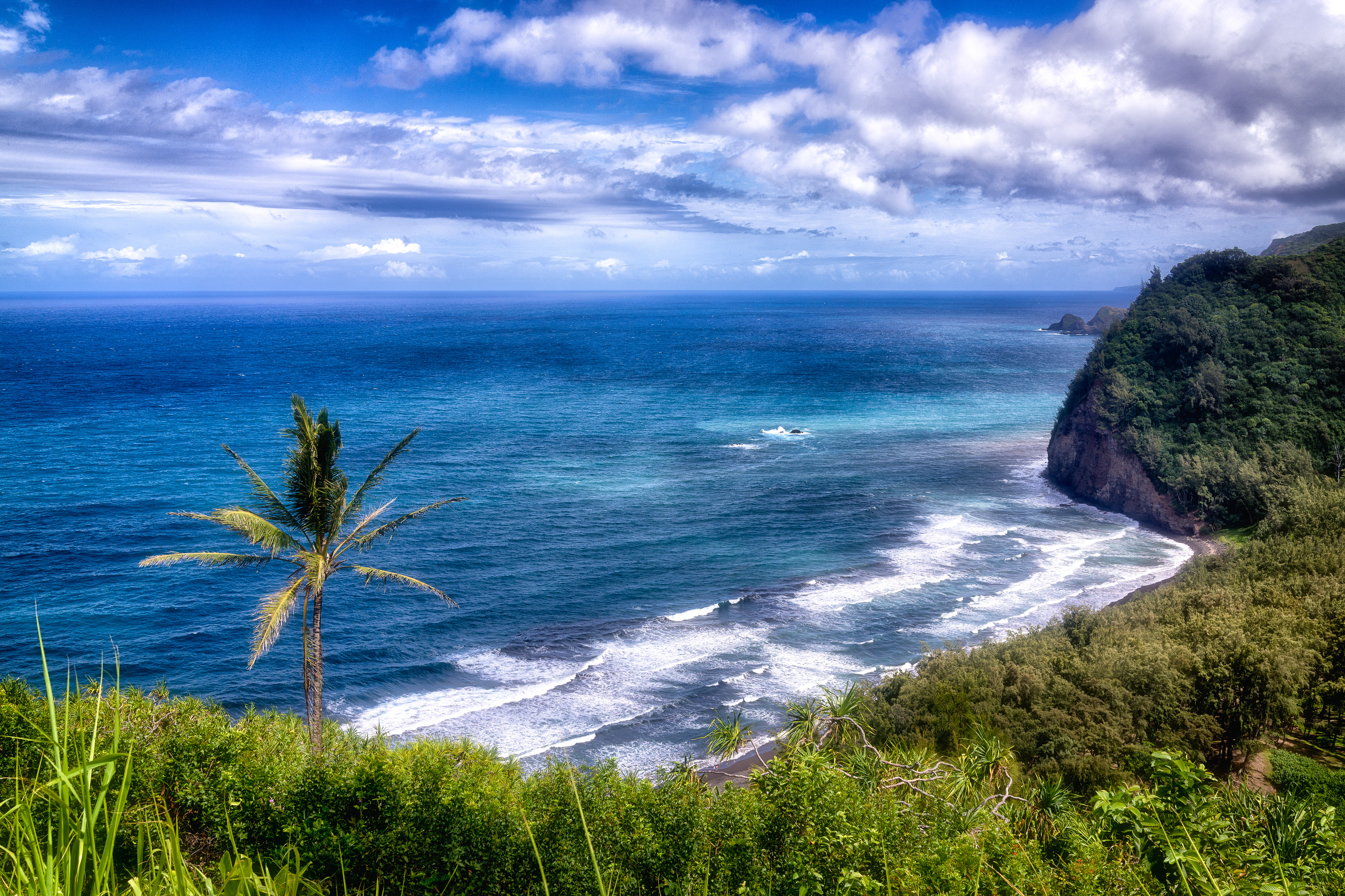 Как называется вид на море. Вид на океан. Красивый вид на море. Красивый вид на океан. Гавайский пейзаж.