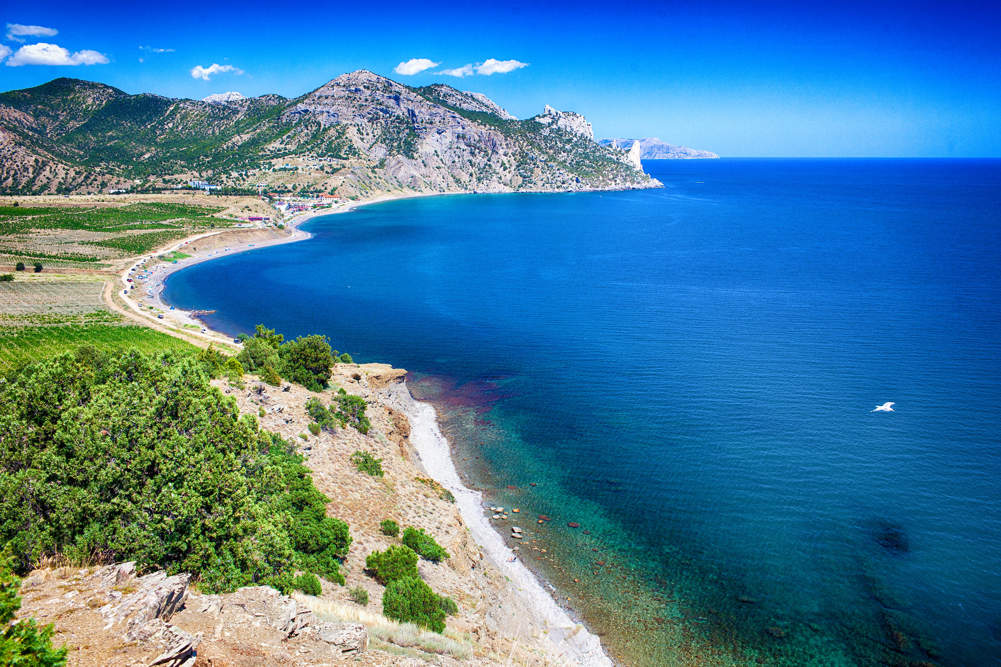 Бухты черного моря