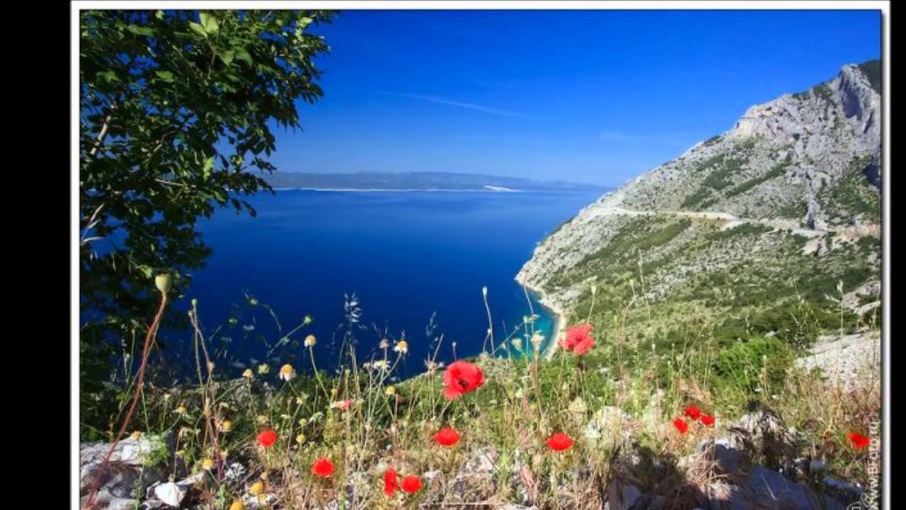 Горы Крыма море цветы
