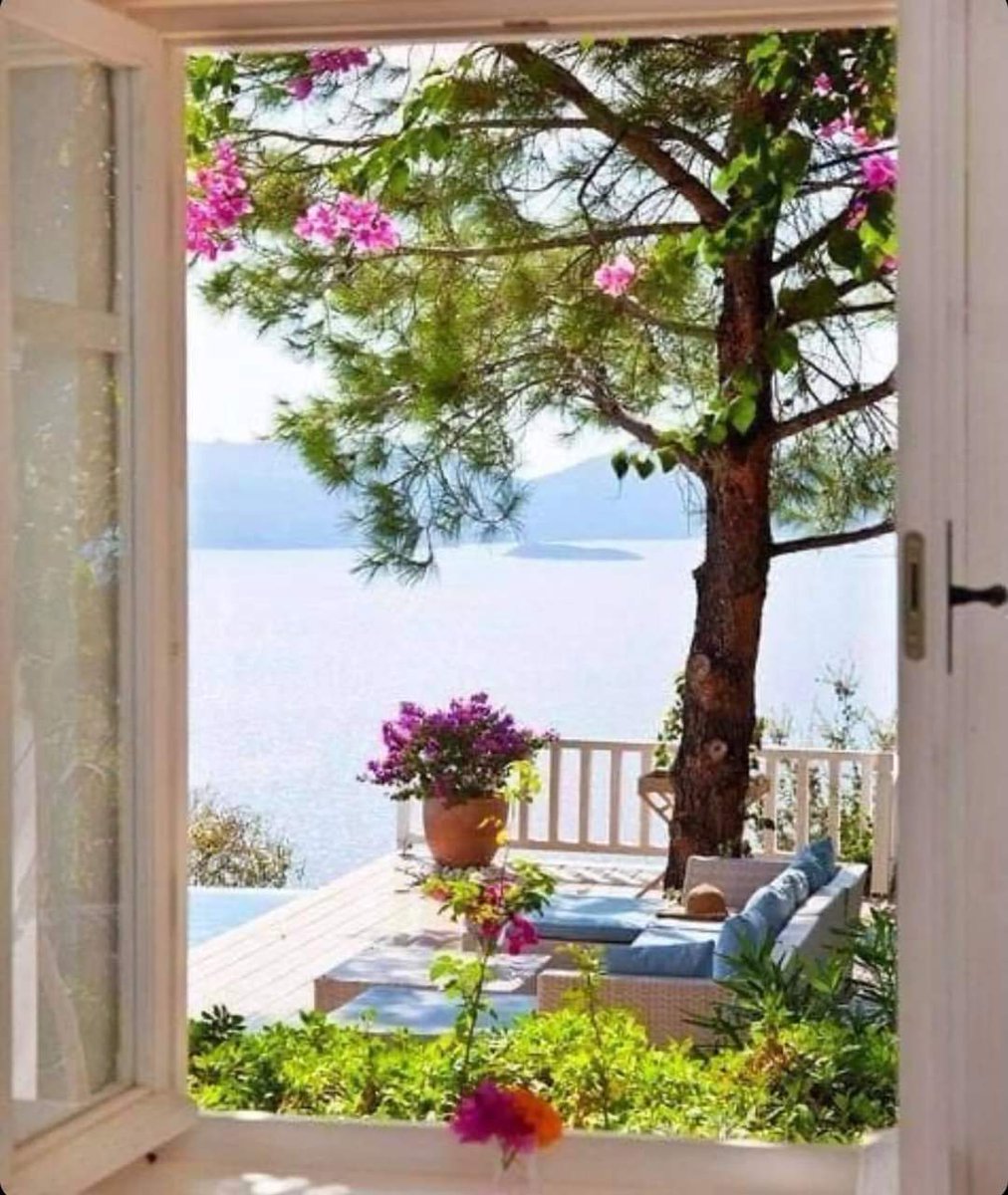 балкон цветы море