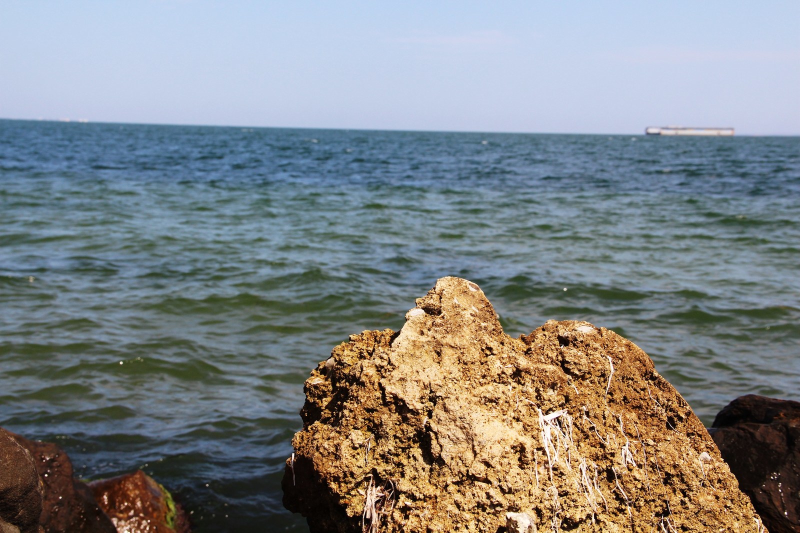 Тамань черное. Азовское море Тамань. Тамань море. Азовское море Тамань фото. Плоские камни Тамань.