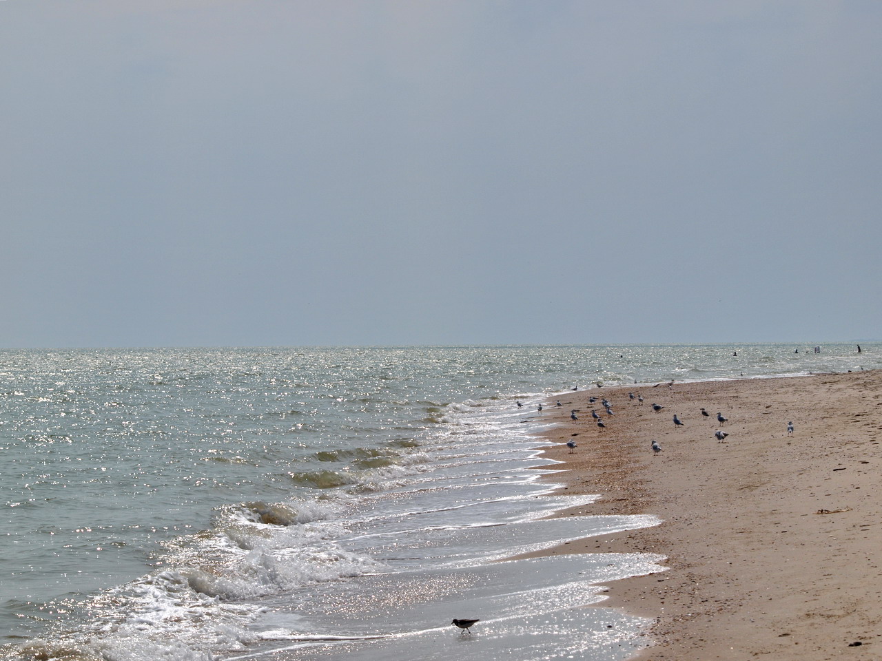 Кучугуры азовское море фото