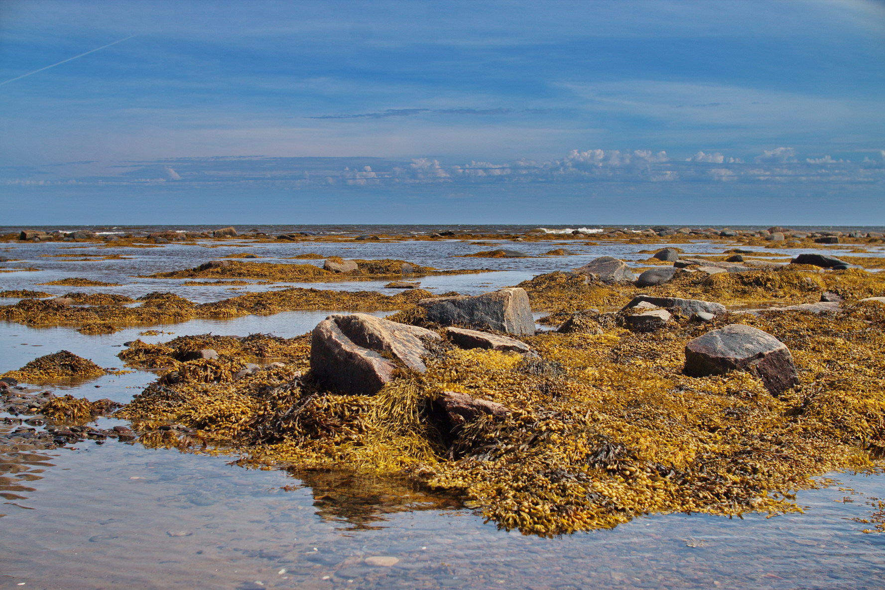 Белое море Беломорск каменная гряда