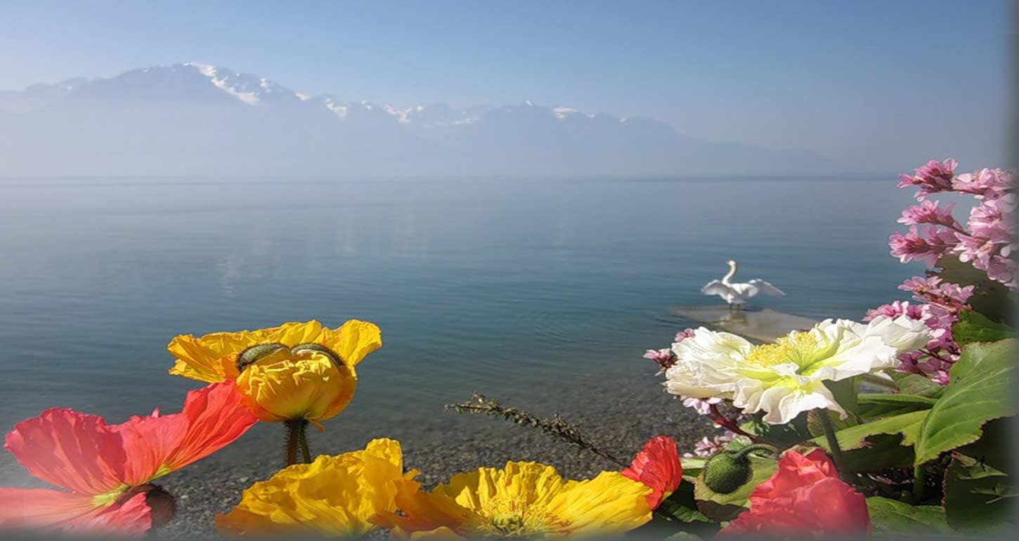 Букет цветов на фоне моря