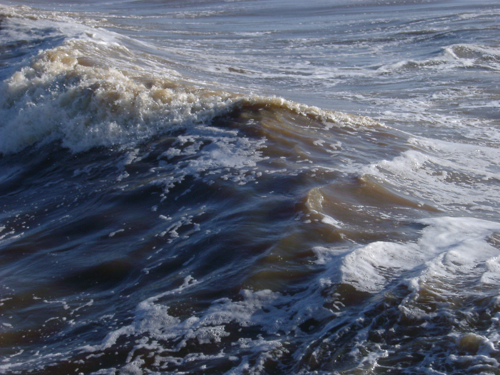 А жизнь мутная вода волна туда. Грязное море. Загрязненные моря. Грязное черное море. Загрязнение черного моря.