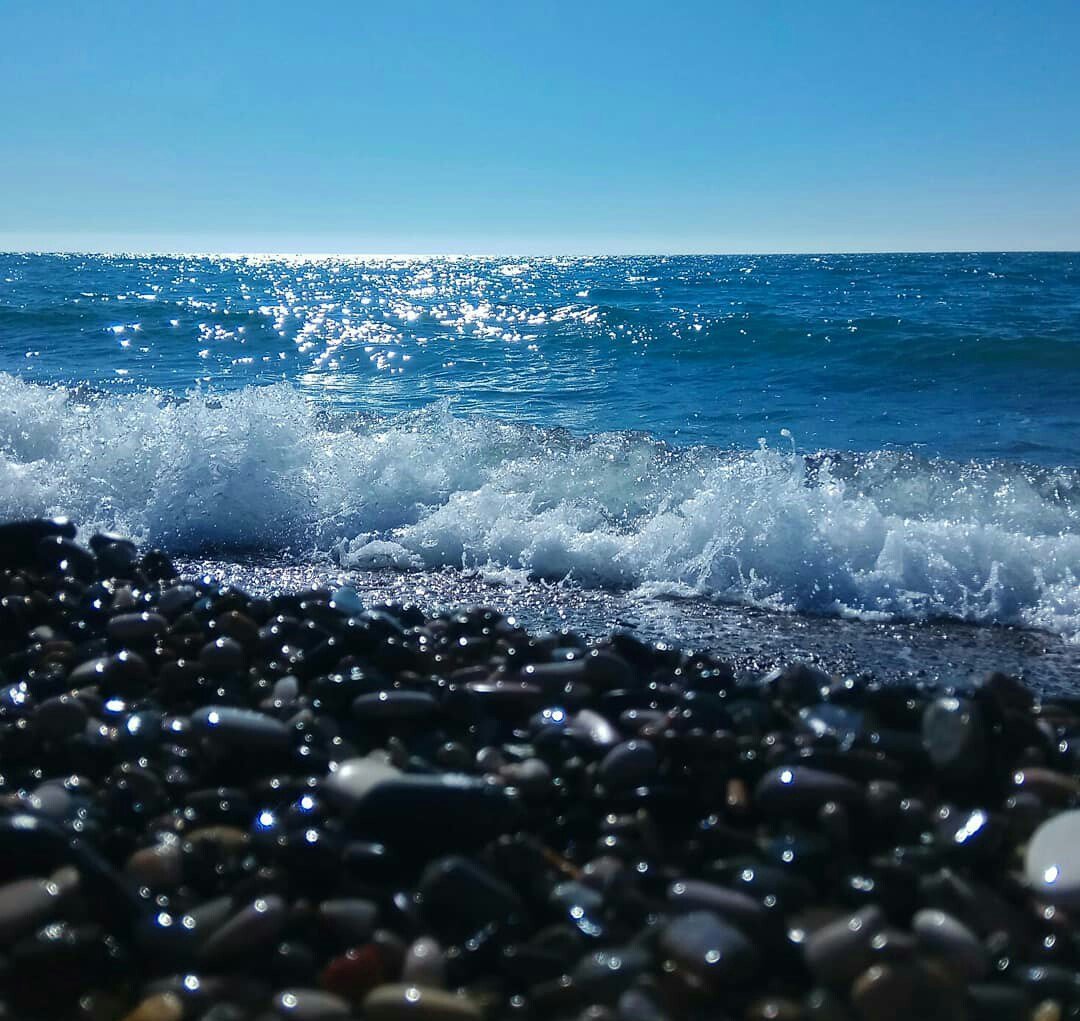 Черное море в лоо
