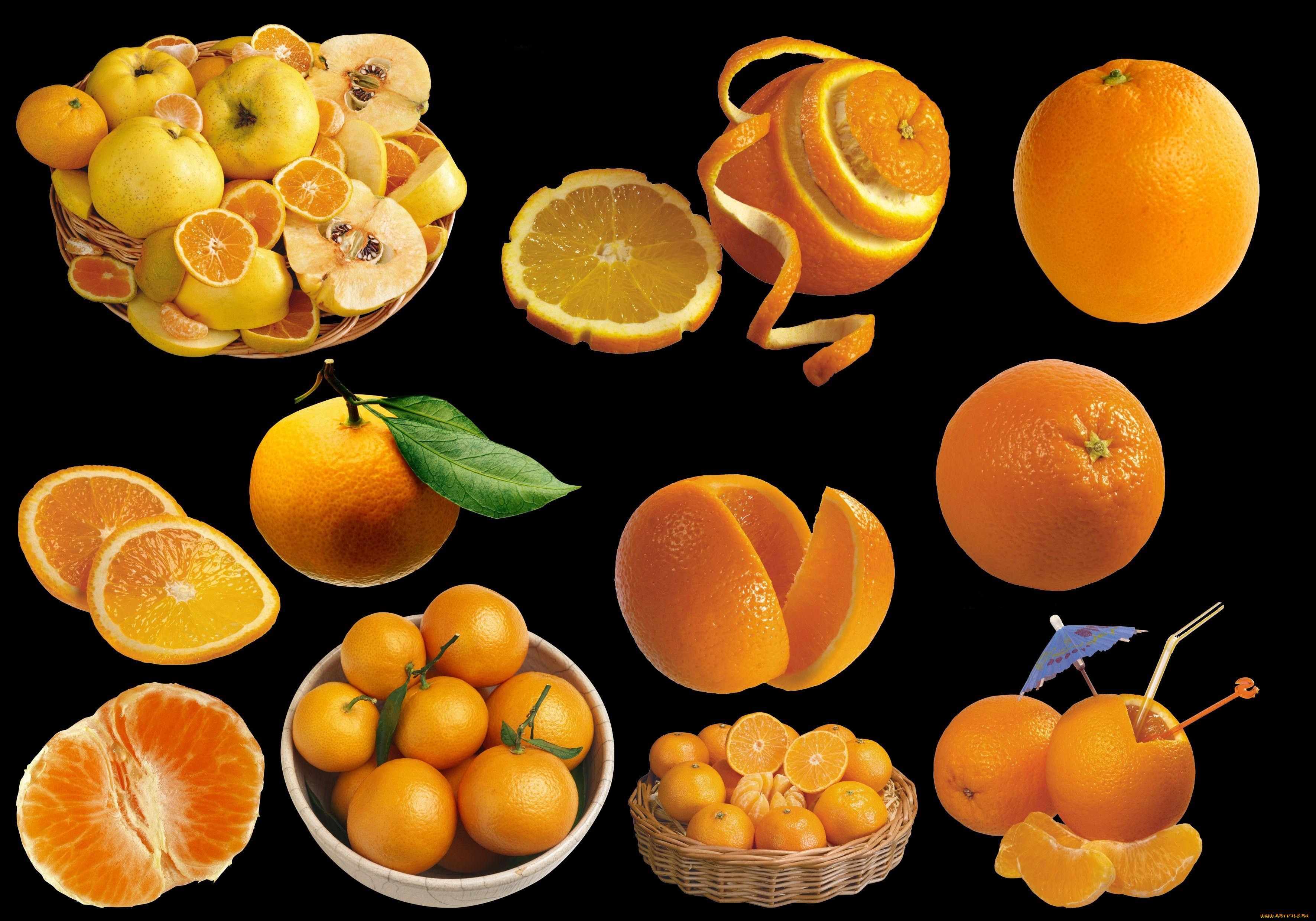 Цитрусовые фрукты список с фото на русском языке