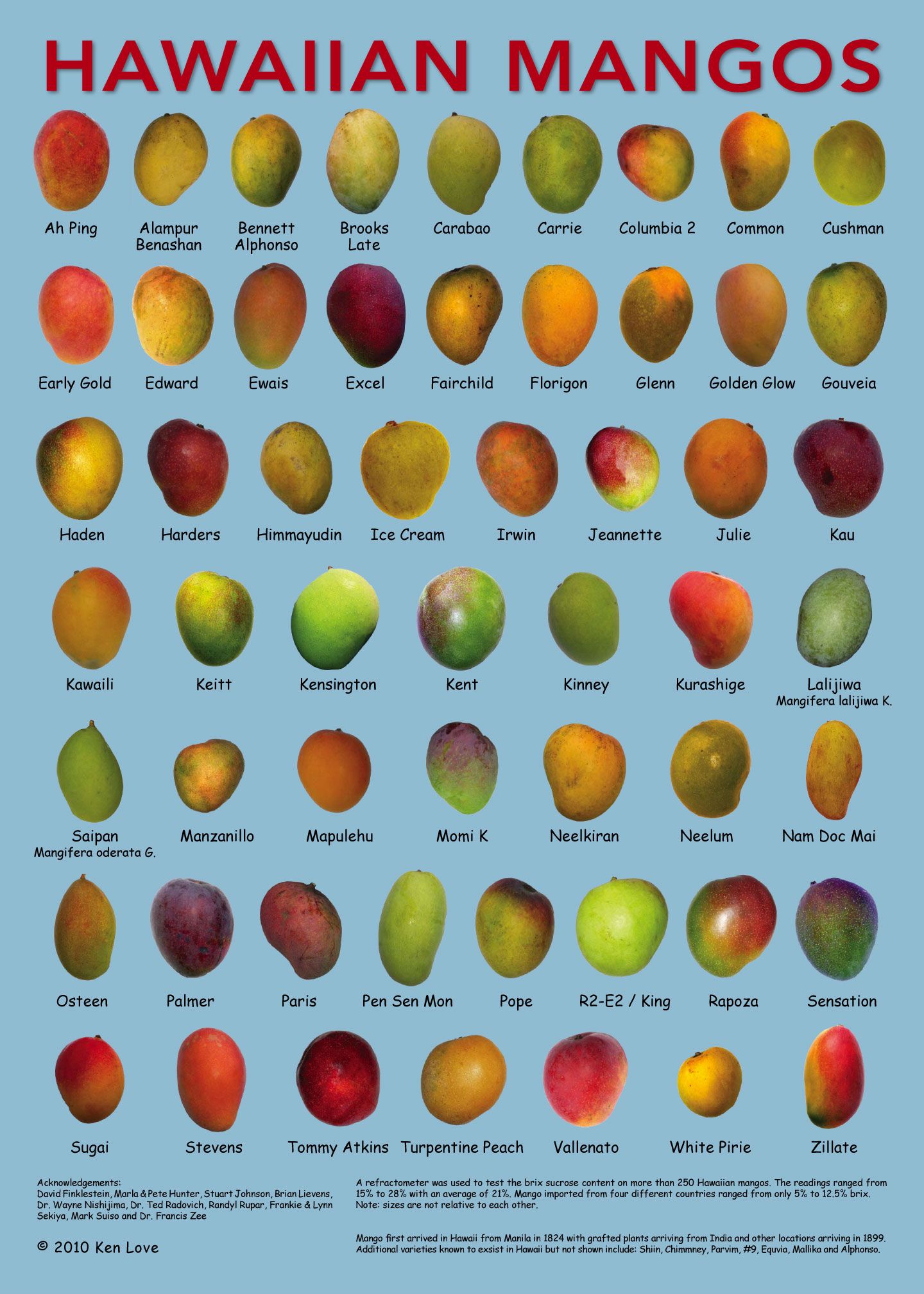 Манго разновидности фрукта фото
