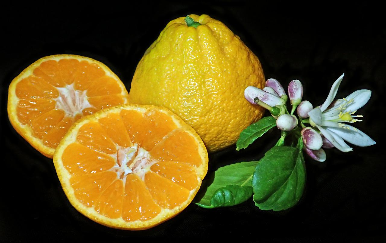 Мандарин фрукт витамины. Мандарин юдзу. Разновидность цитрусовых фруктов. Происхождение цитрусовых.