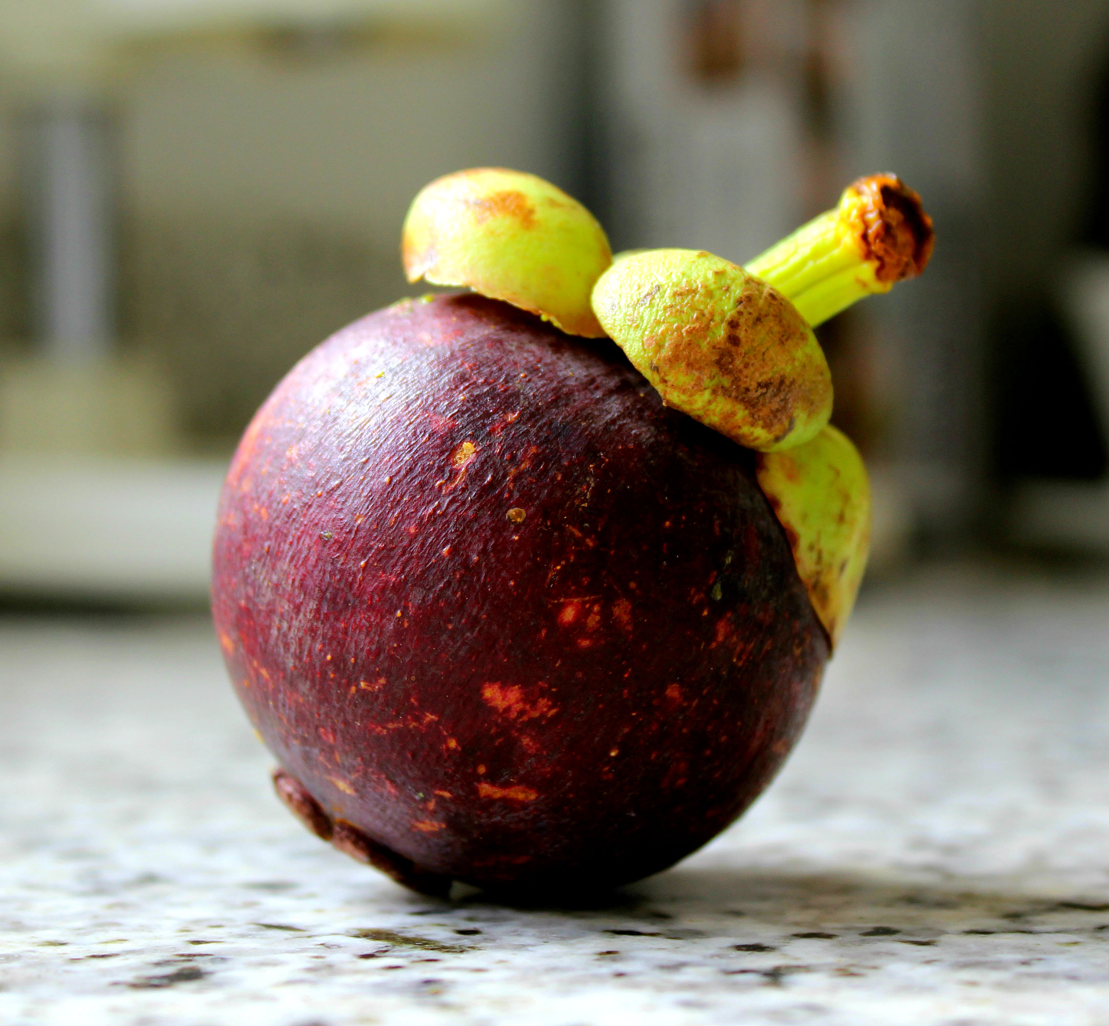Фото мангостина фрукта