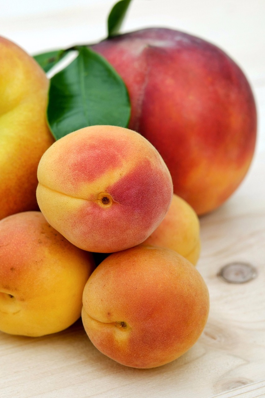 фото персиков фруктов