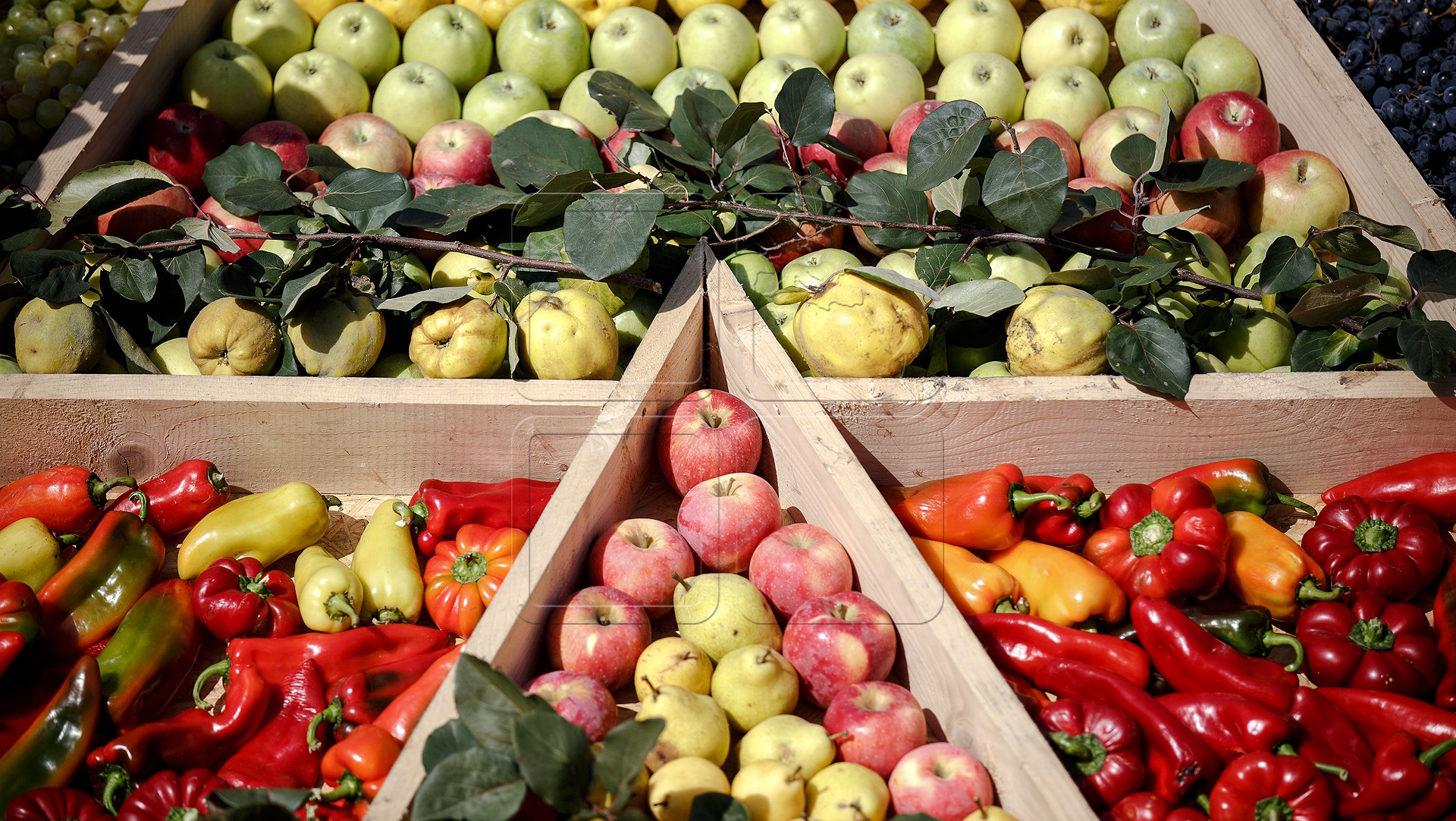 Молдавия фрукты и овощи