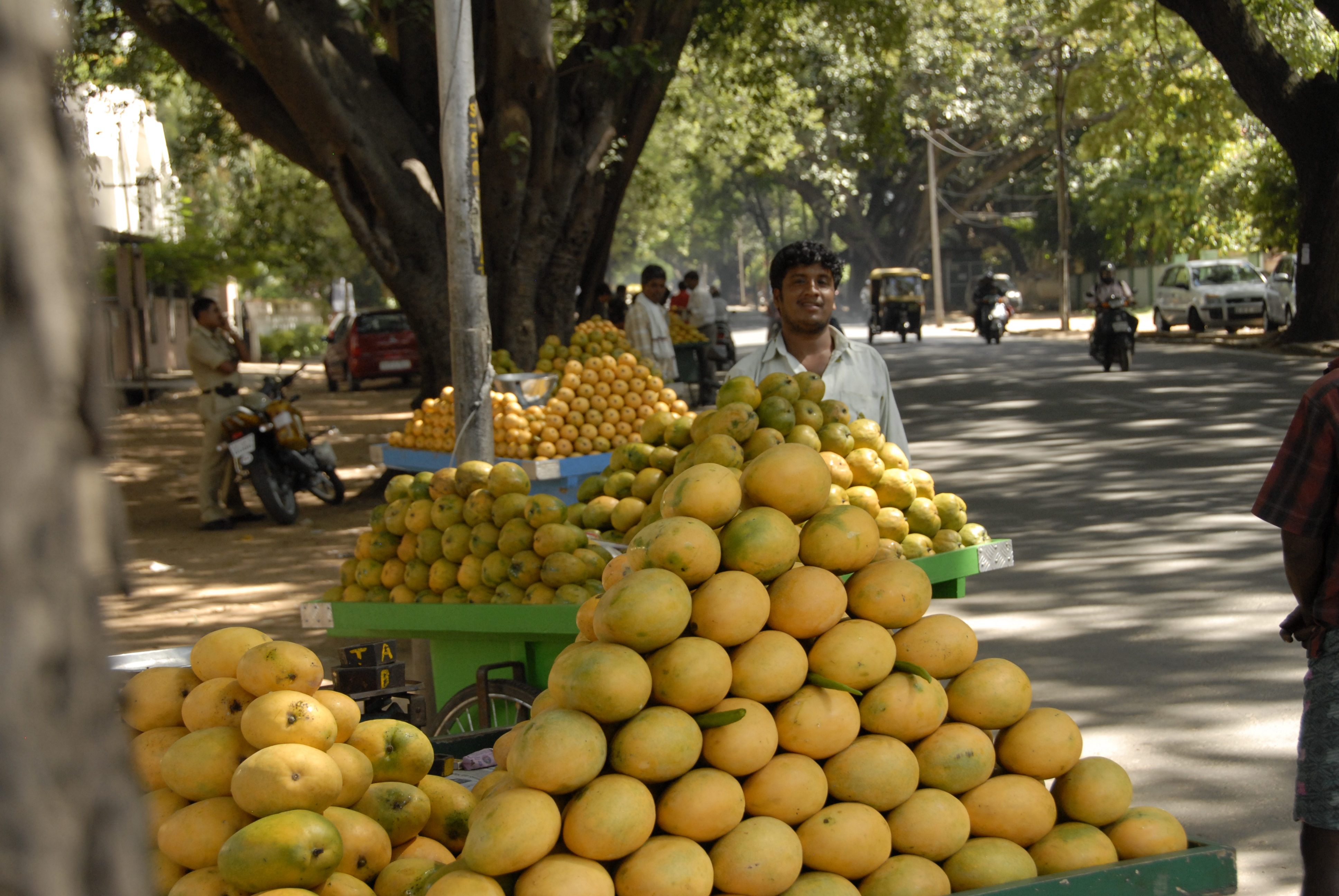 Чику фрукт в индии