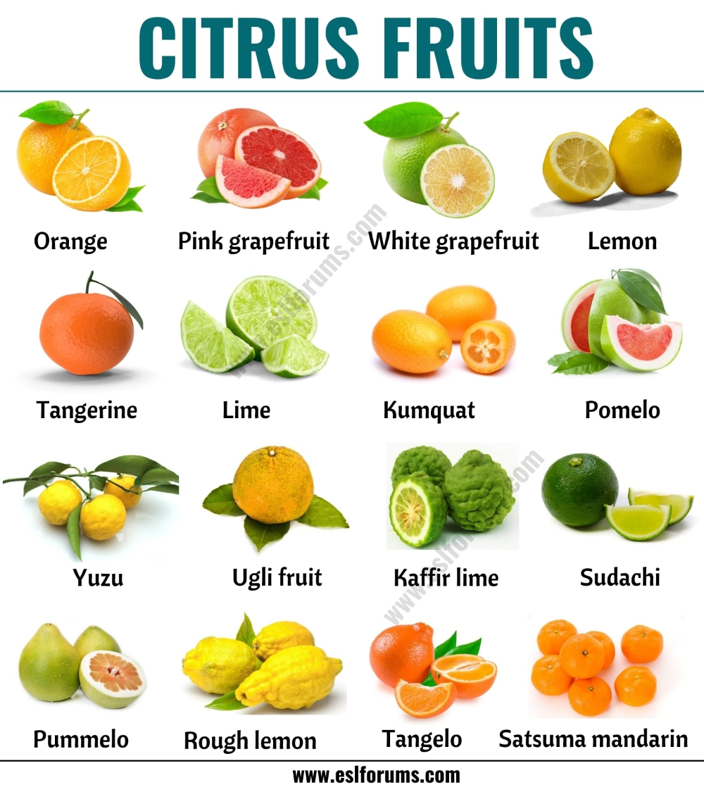 Полный список фруктов. Цитрусовые названия. Цитрус фрукты названия. Разновидность цитрусовых фруктов. Список всех цитрусовых фруктов с картинками.
