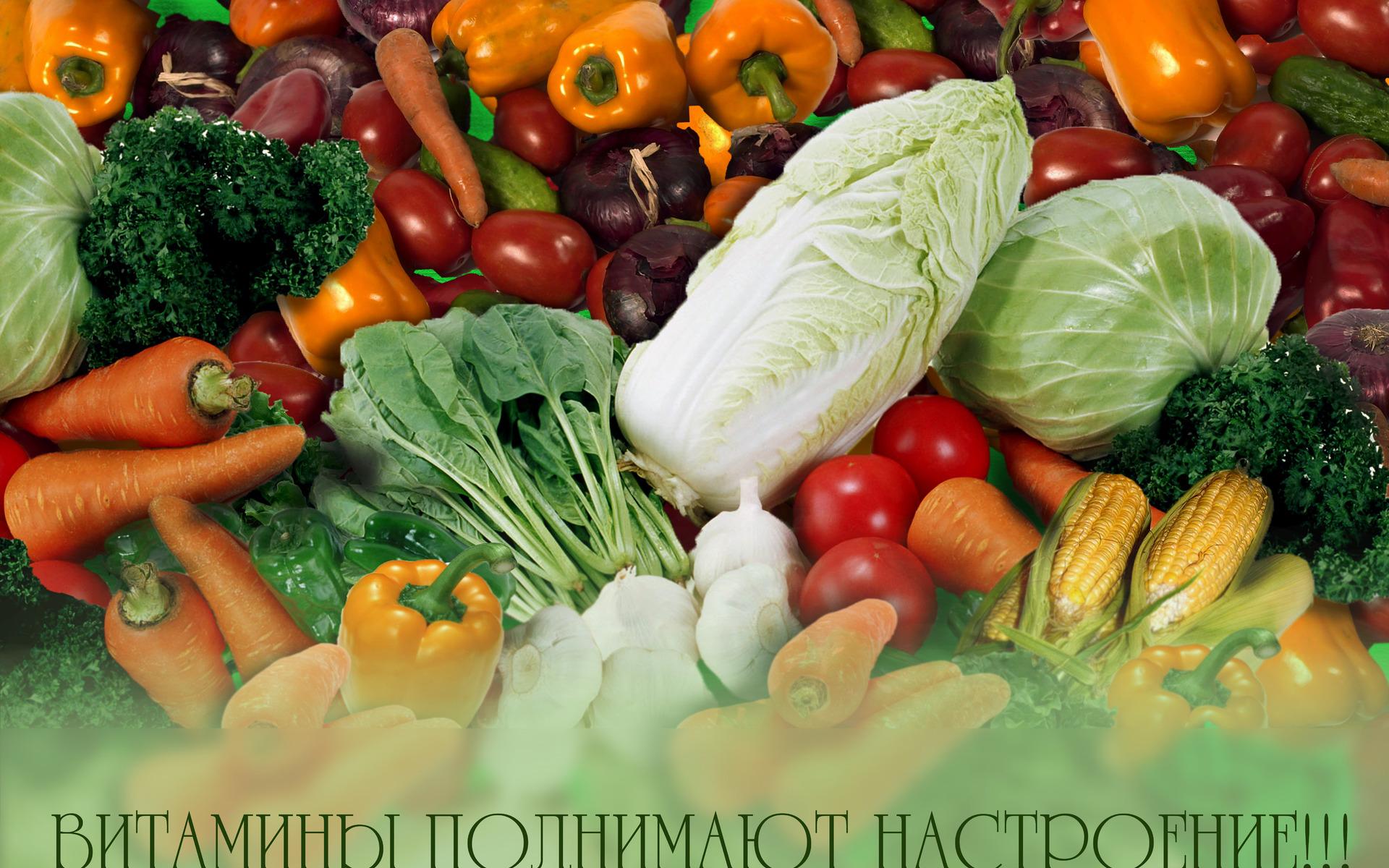 Витамины в свежих овощах. Овощи и фрукты. Продукты овощи. Красивые овощи. Витамины фруктов и овощей.