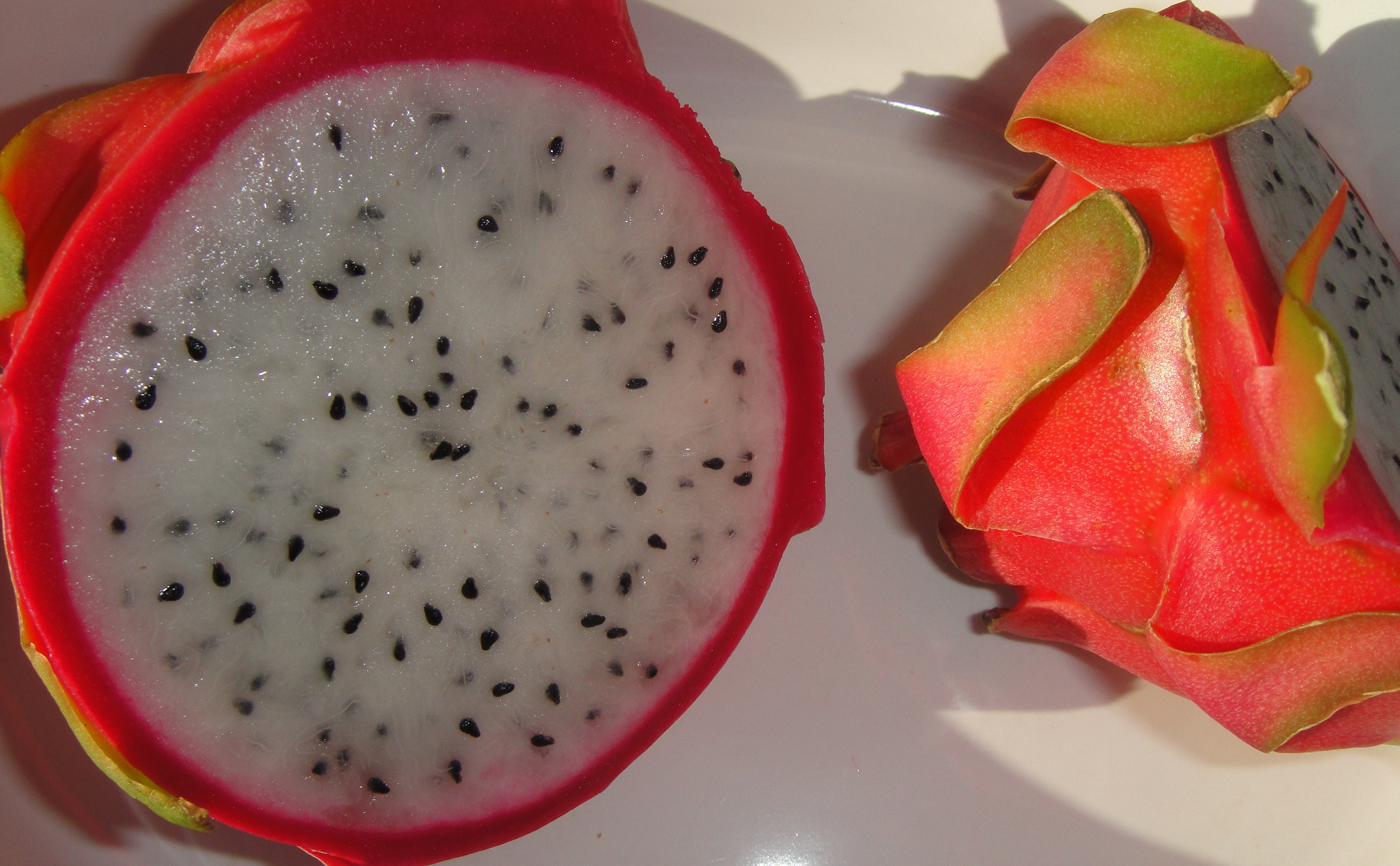 Драгон фрукт BLOX Fruits