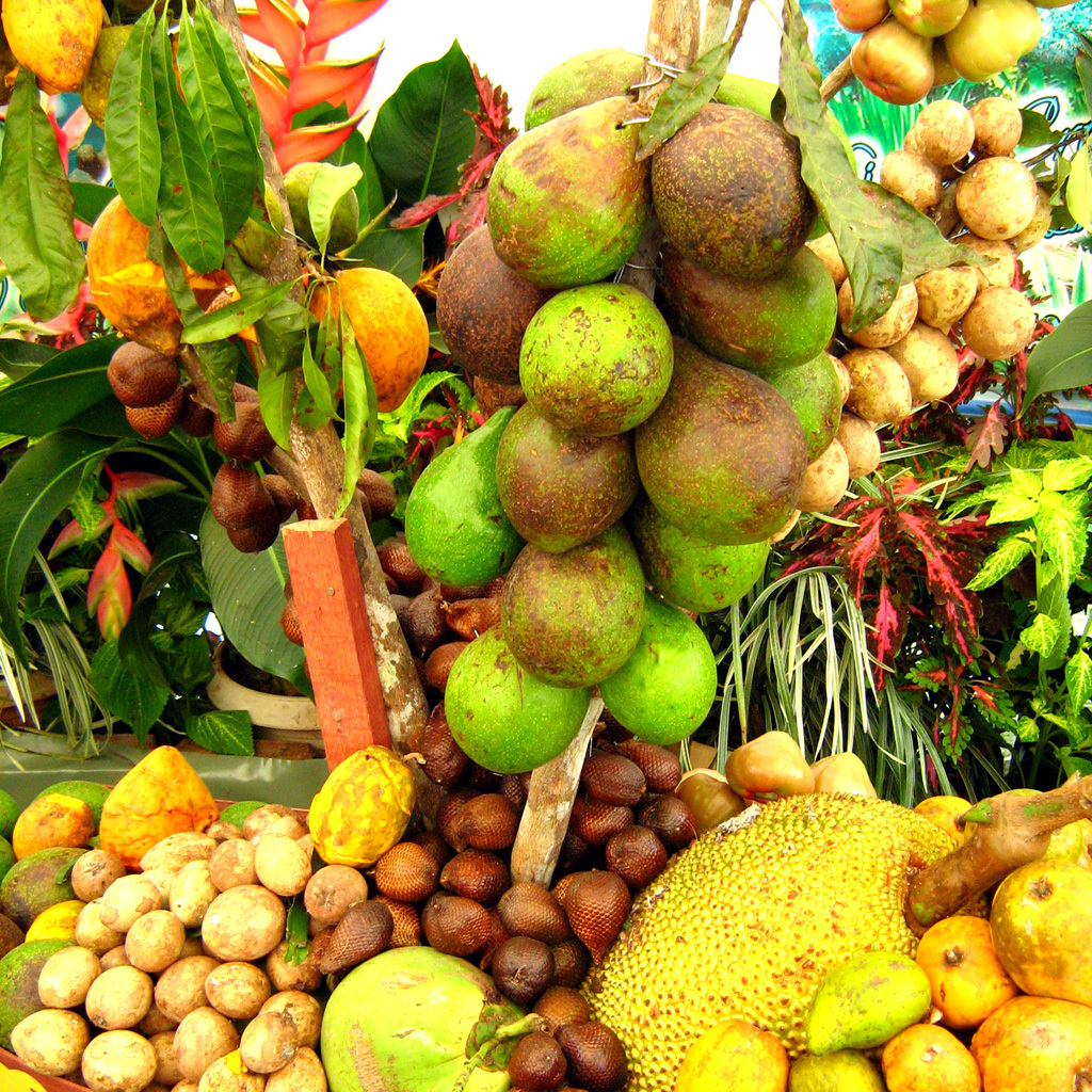 Matasano fruta - 🧡 Аннона фрукт (71 фото) .