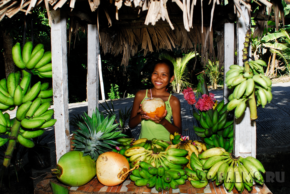 фрукты сейшельских островов названия и фото