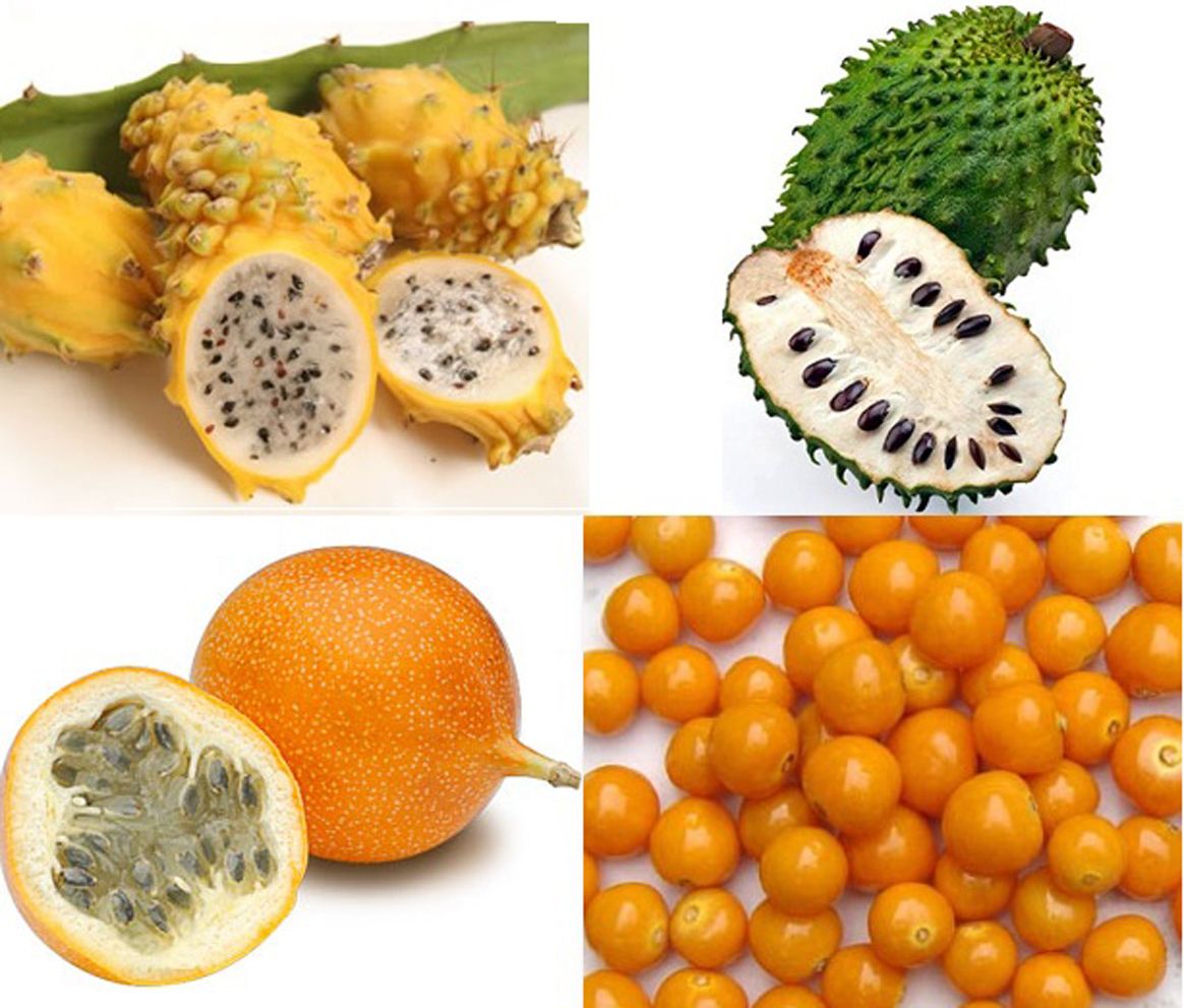Желтые фрукты названия. Тропические фрукты маракуйя личи папайя. Дуриан питайя. Фрукт Нубия. Карибиан фрукт.