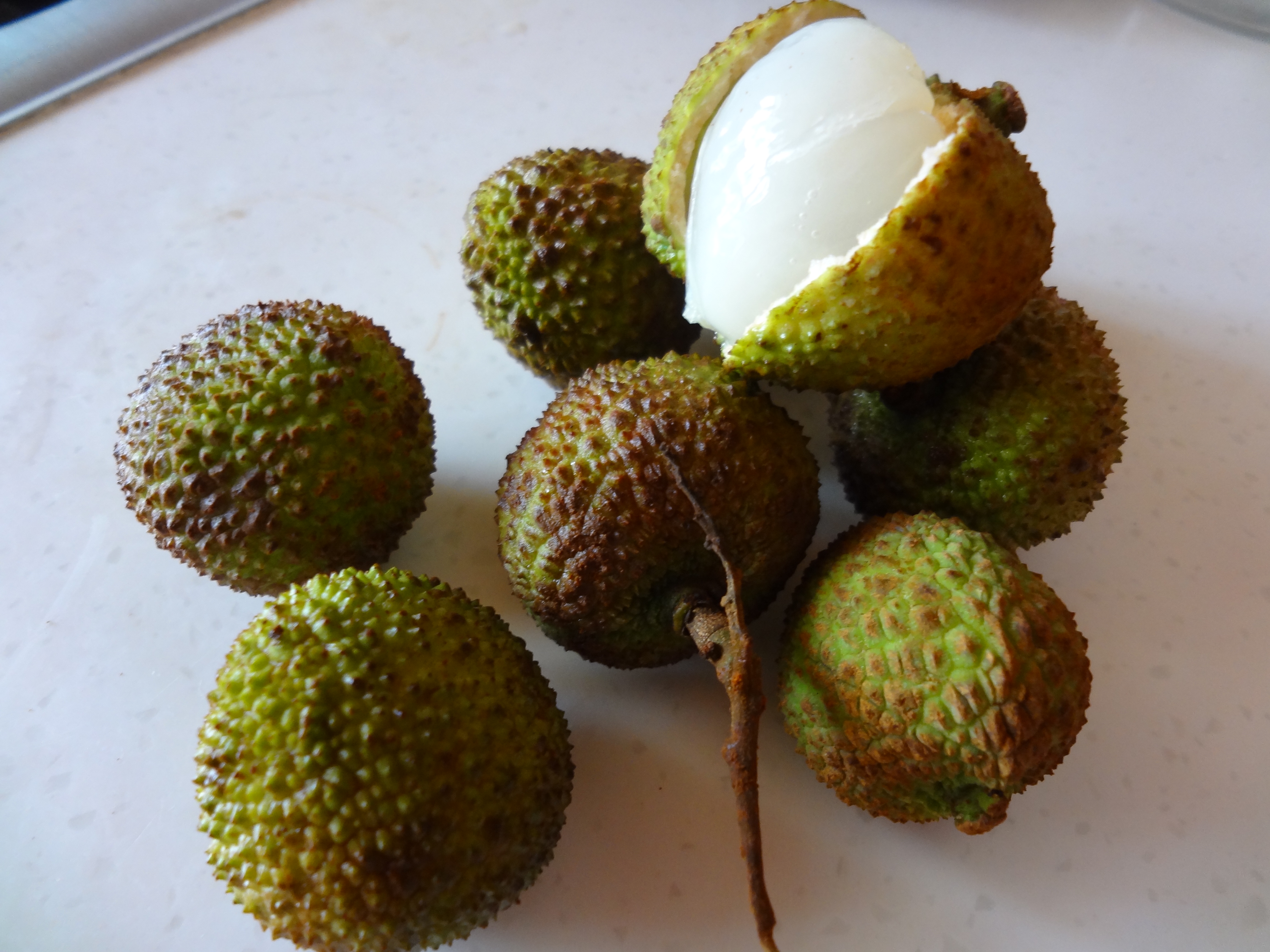 Плод похожий на каштан. Дуриан питайя. Киви маракуйя. Зеленый пупырчатый тропический фрукт. Южный зелёный фрукт пупырчатый.