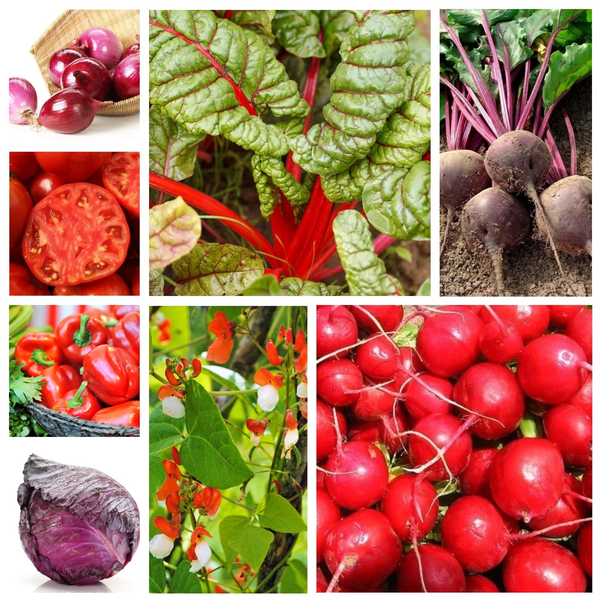 Red vegetable. Красные овощи и фрукты. Овощи и фрукты красного цвета. Овощные культуры. Семена овощей.