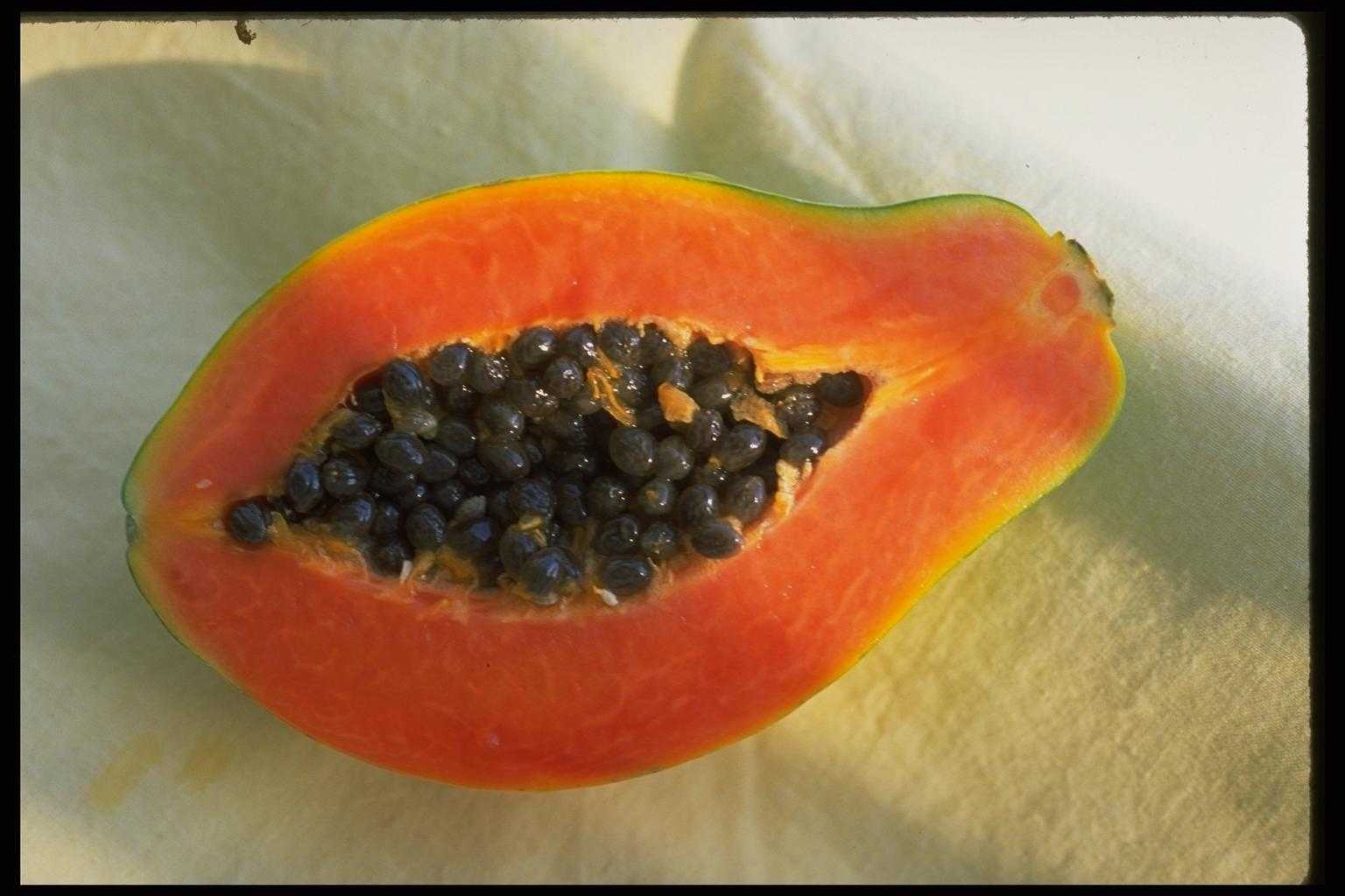 Плоды бывают красные и желтые. Фрукт с черными косточками. Оранжевый фрукт с черными. Фрукт оранжевый с косточками. Фрукт с косточкой внутри.