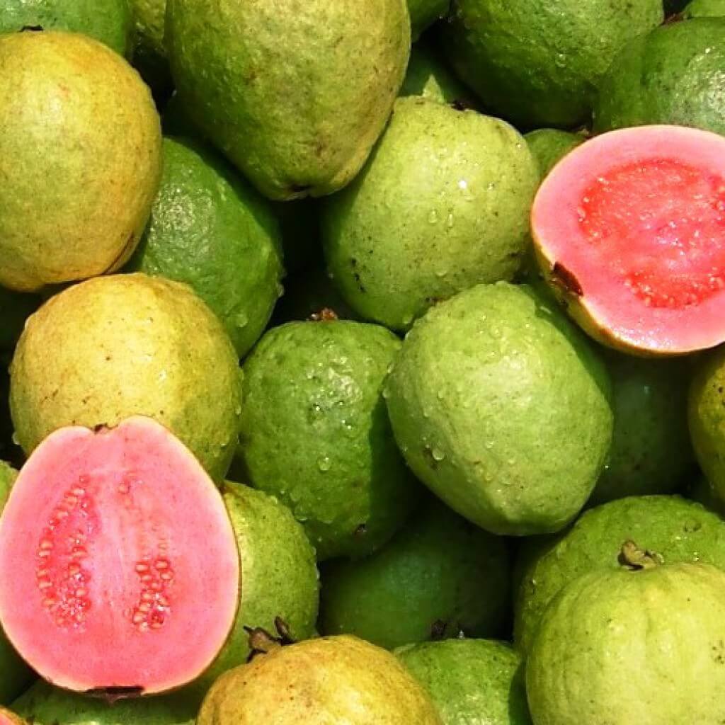 Гуава фрукт