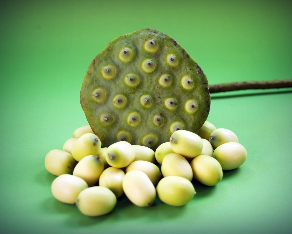 Фрукт зеленый с пупырышками как называется (64 фото)