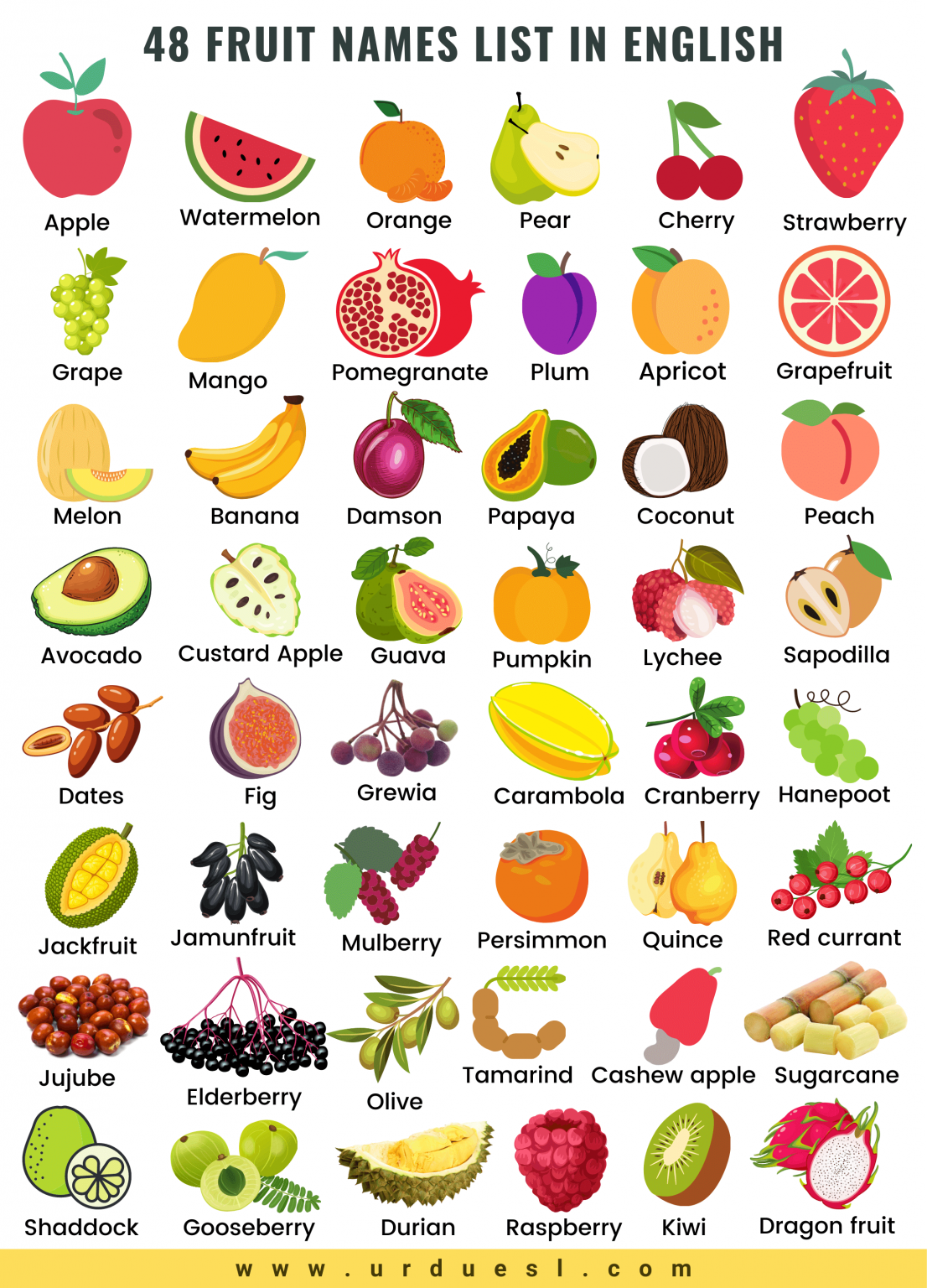Названия фруктов на английском. Название фруктов. Список фруктов. Название всех фруктов по английскому. Фрукты названия по алфавиту.