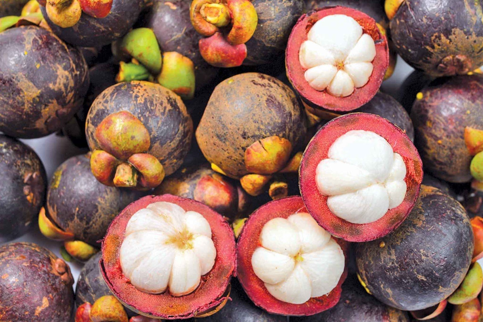Тропические фрукты тайланда фото и названия
