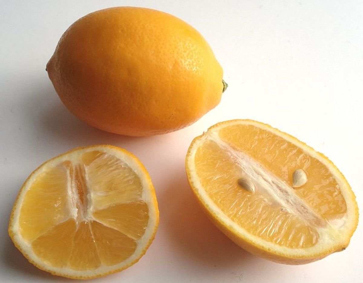 El limon te saca de cetosis
