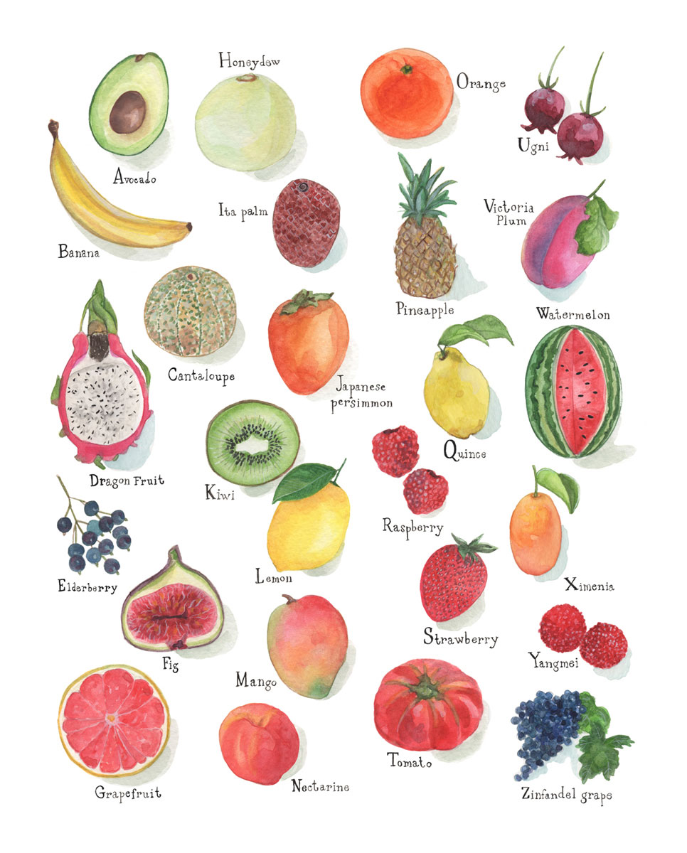 Полный список фруктов. Овощи и фрукты названия. Фрукты и ягоды с названиями. Фрукты и ягоды по алфавиту. Фрукты на букву а.