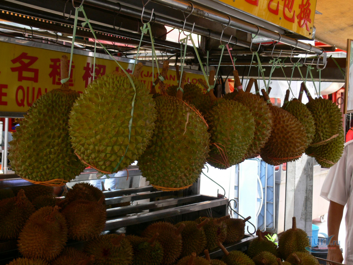 Большой колючий фрукт. Колючий фрукт в Тайланде. Колючий вонючий фрукт из Тайланда. Вонючий фрукт на Бали.
