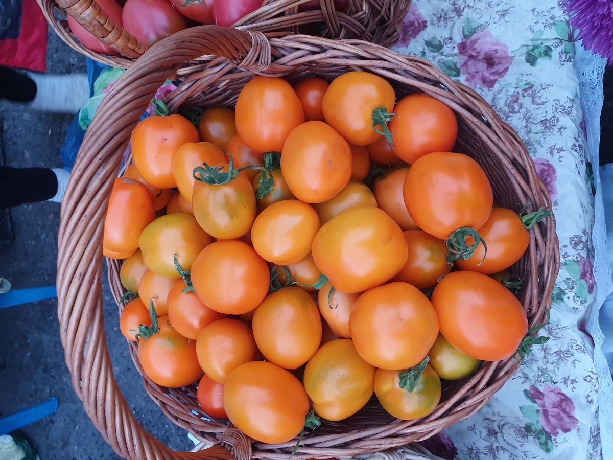 Де-Барао помидоры оранжевый