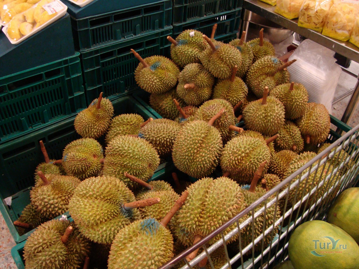 название фруктов из таиланда