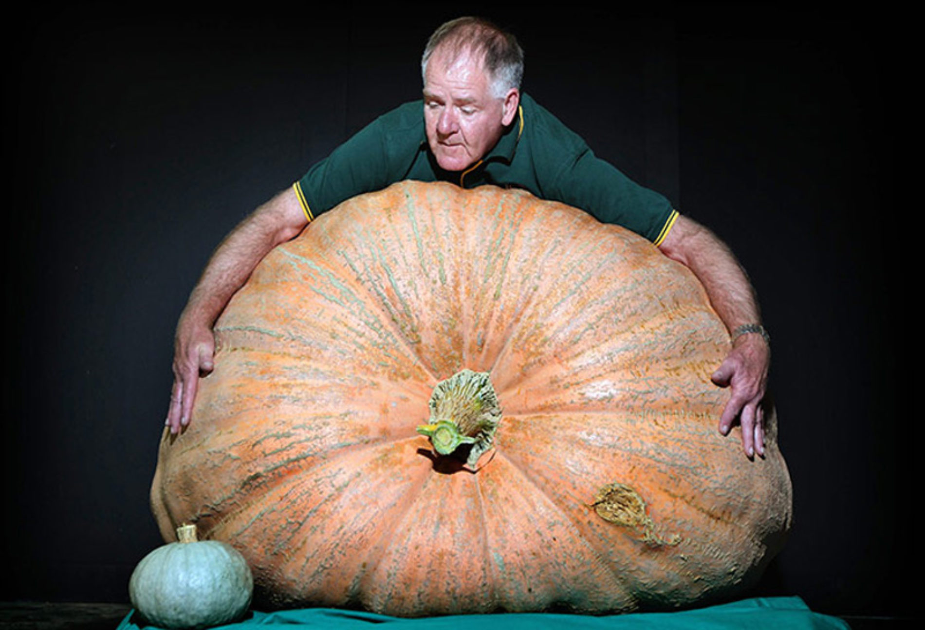 Самый большой овощ в мире фото