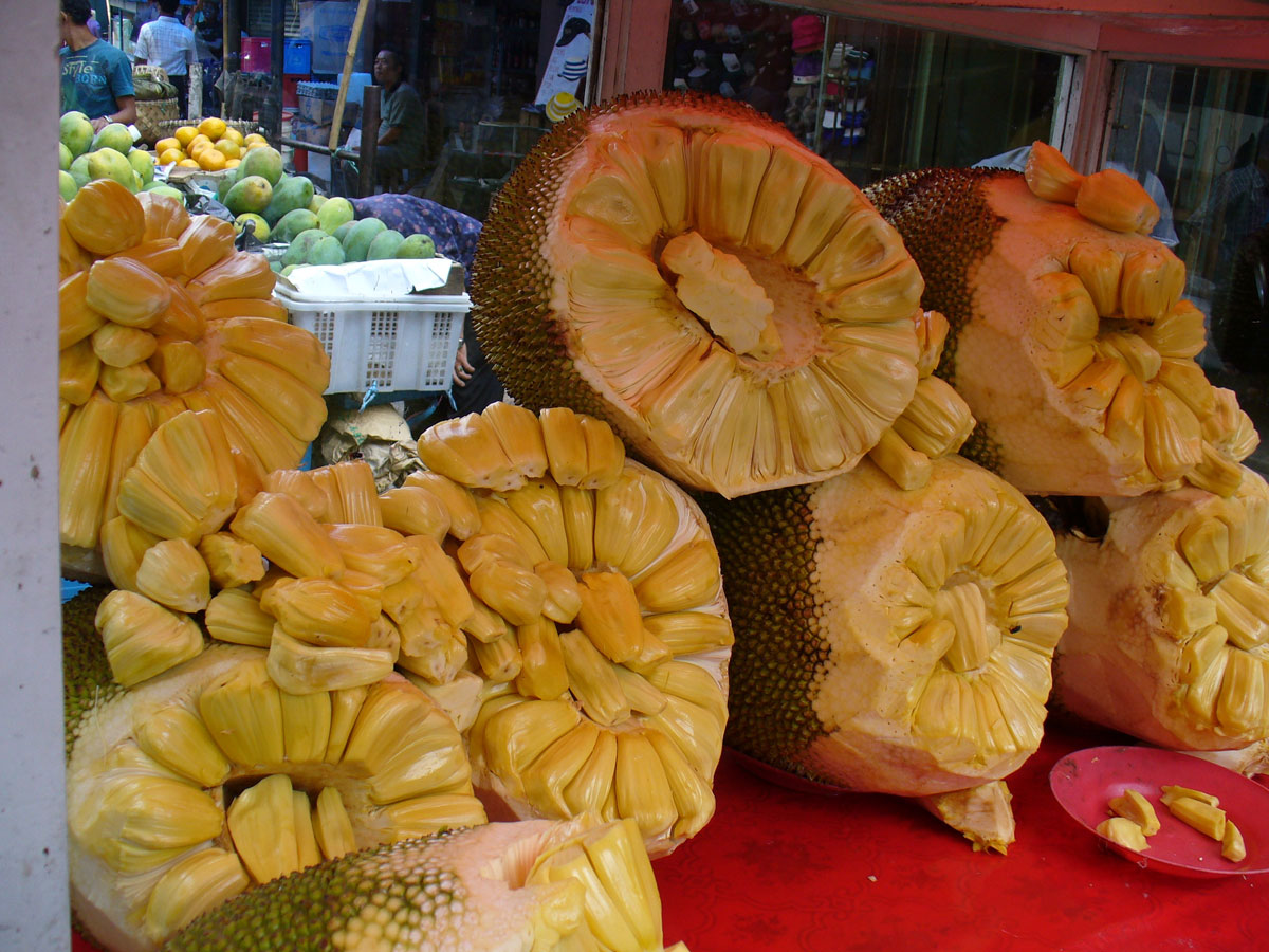 Собери большой фрукт. Джекфрут дерево. Тайские фрукты джекфрут. Самый большой фрукт в мире джекфрут. Джекфрут древесина.