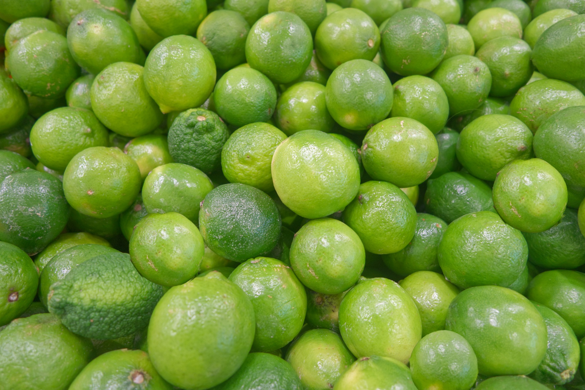 Маленький зеленый цитрус. Фрукты зеленого цвета. Зелёные фрукты названия. Зелёный фрукт похожий на лайм.