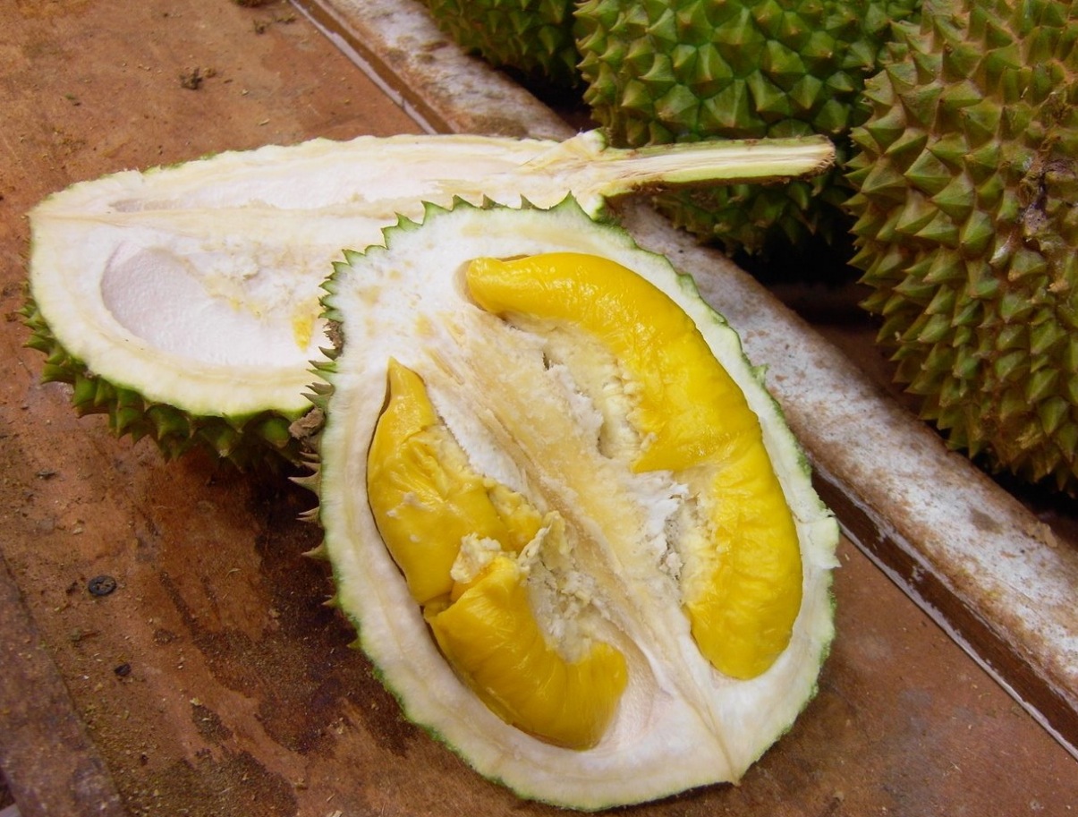 Тайский фрукт похожий. Дуриан. Фрукты Тайланда. Национальный фрукт Тайланда дуриан. Зеленый фрукт Тайланд.
