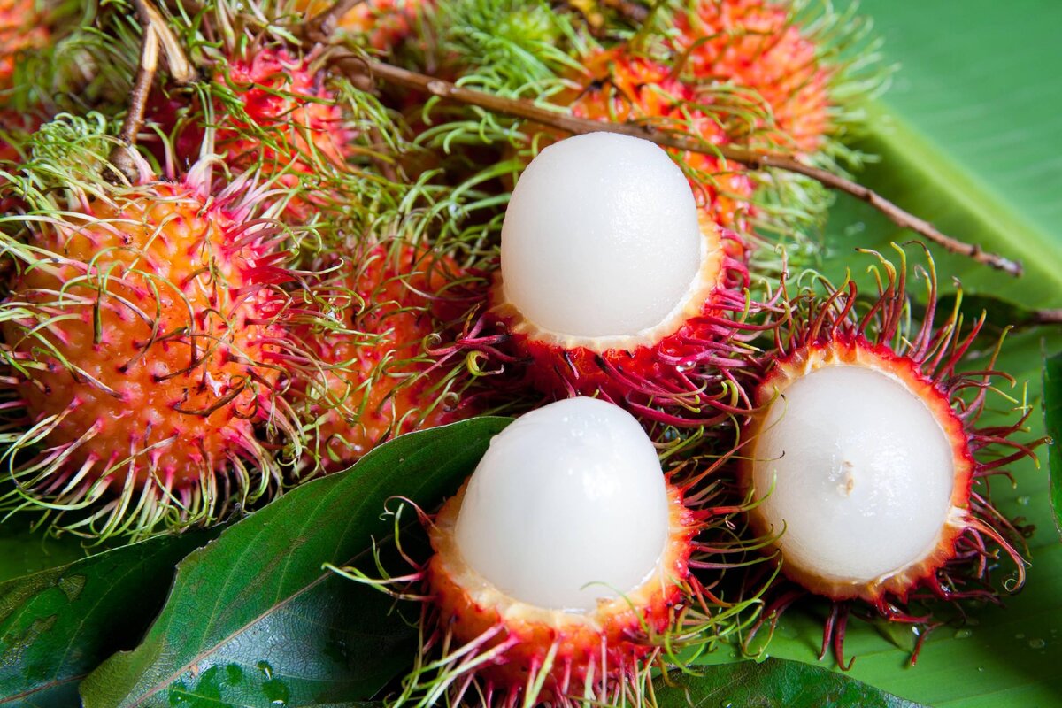 тропические фрукты тайланда