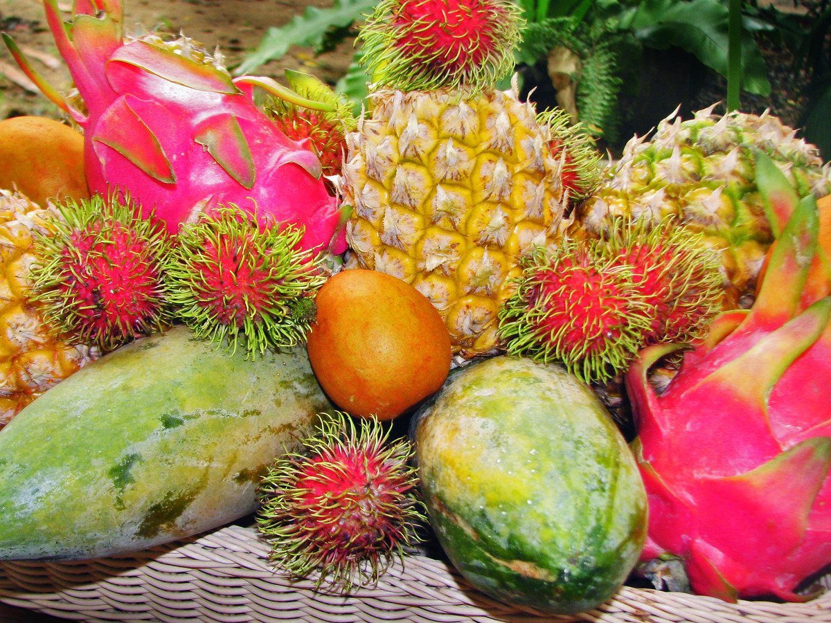 экзотические фрукты и овощи фото с названиями