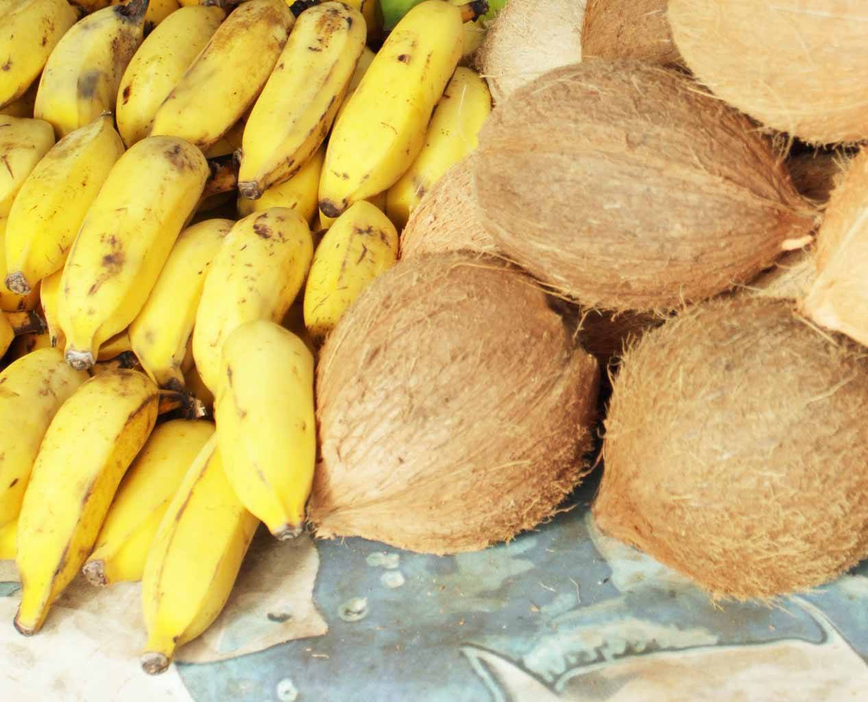 кокосы в доминикане